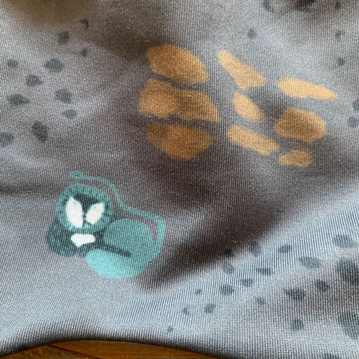 Kind Lions Green Rashguard Set (top And Bottom)