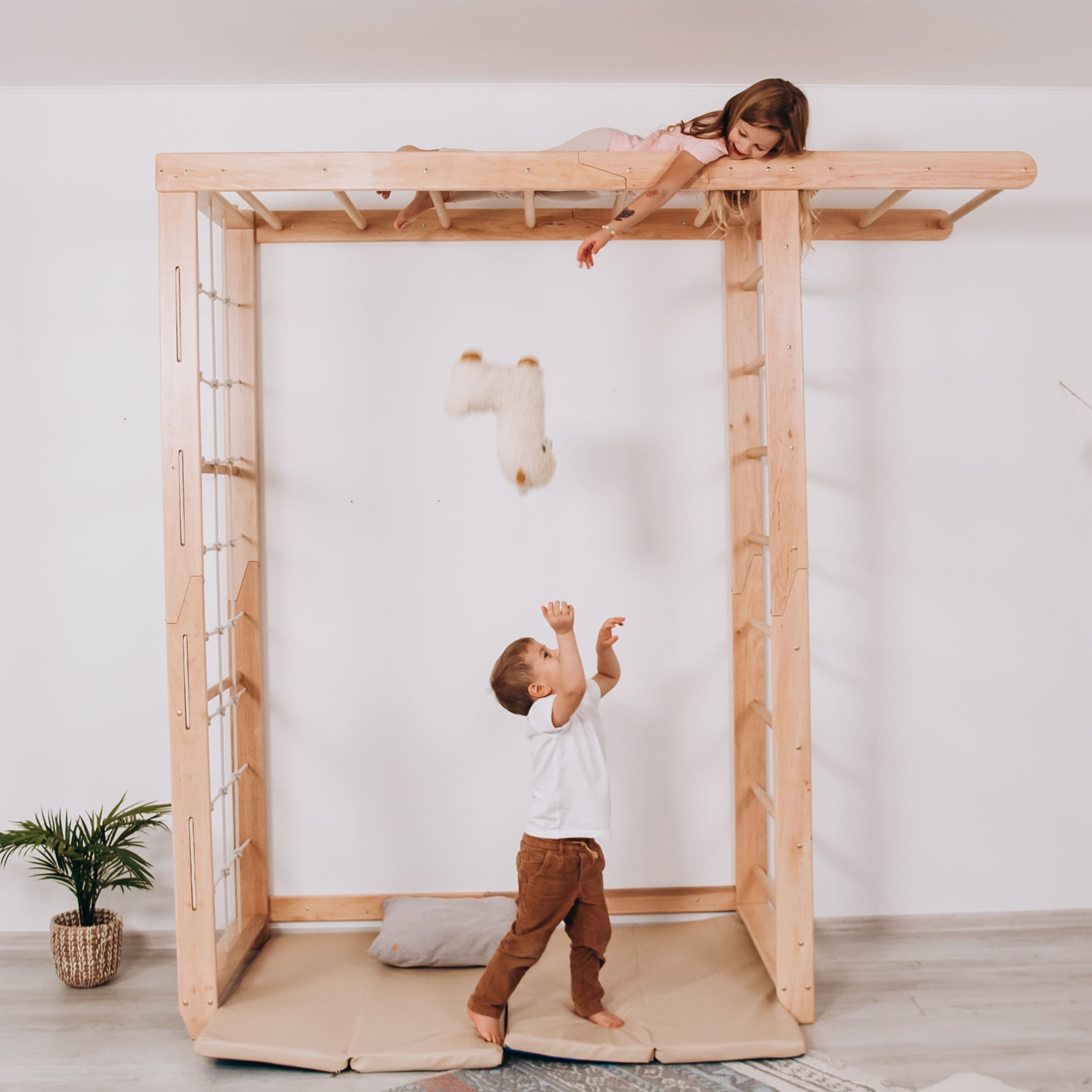 Indoor Monkey Bars