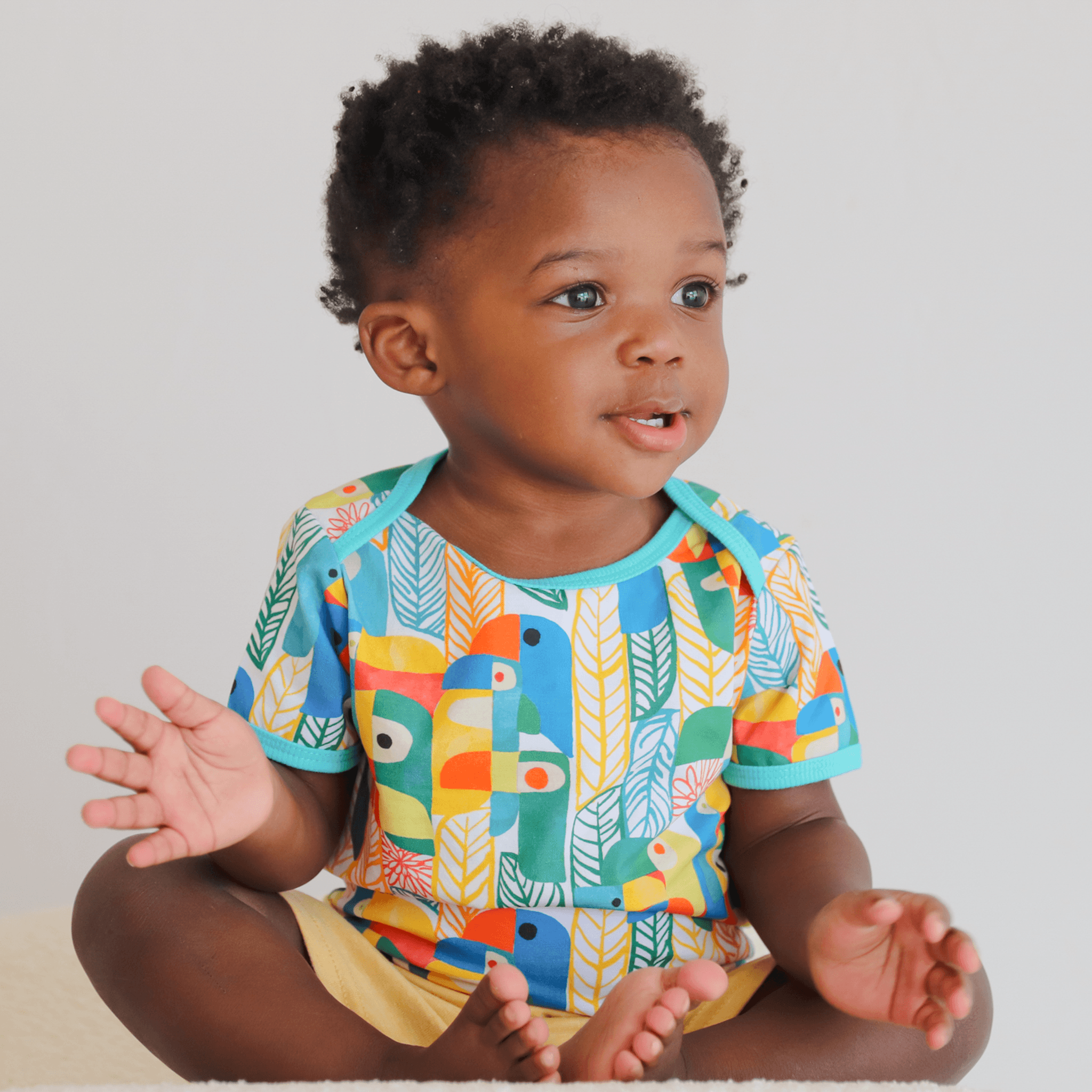 Wren Baby Body | Parrots