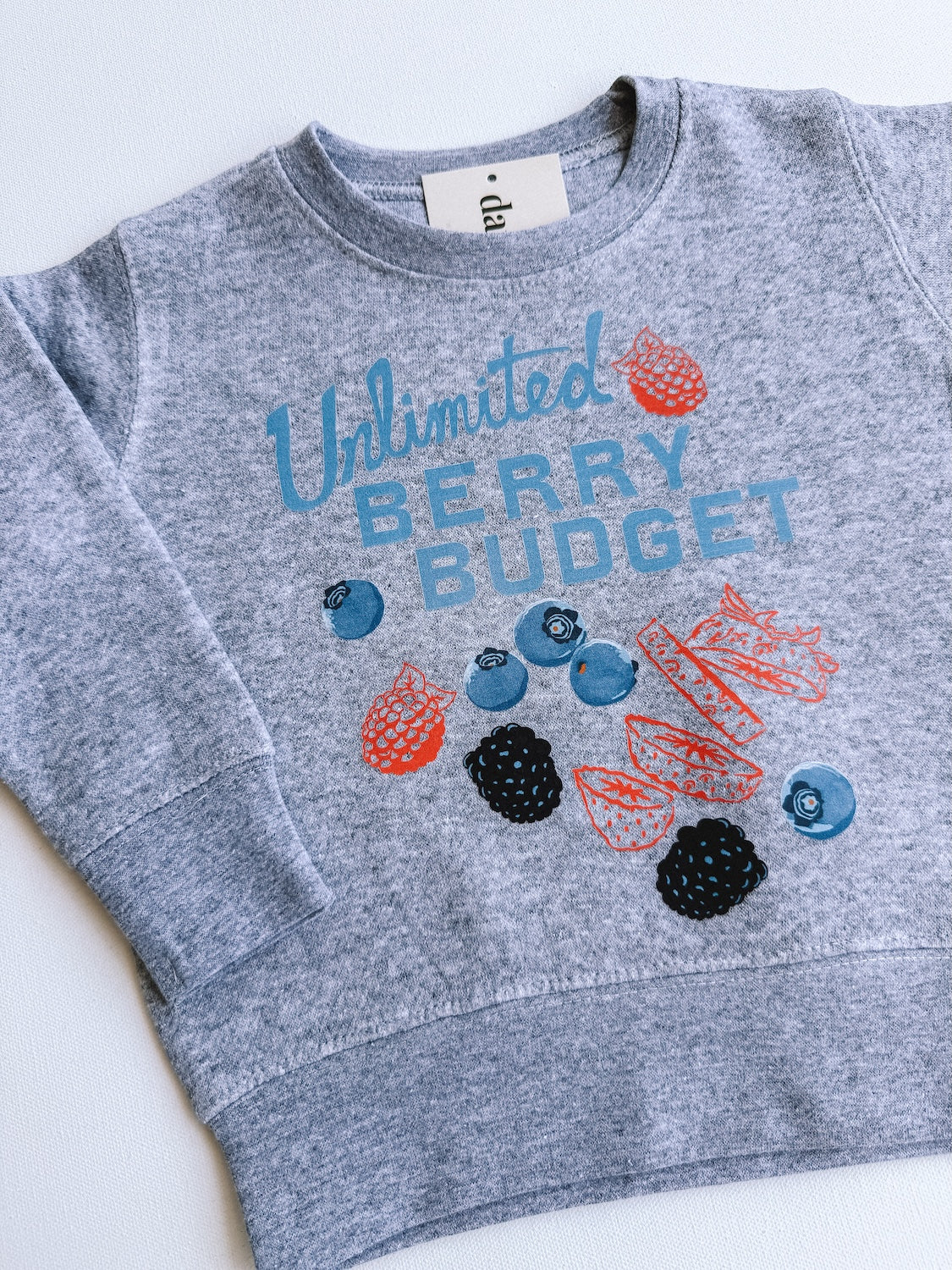 Berry Budget Crewneck