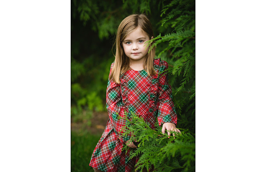 Long Sleeve Ruffle Dress In Plaid