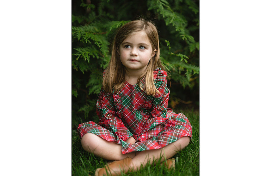 Long Sleeve Ruffle Dress In Plaid