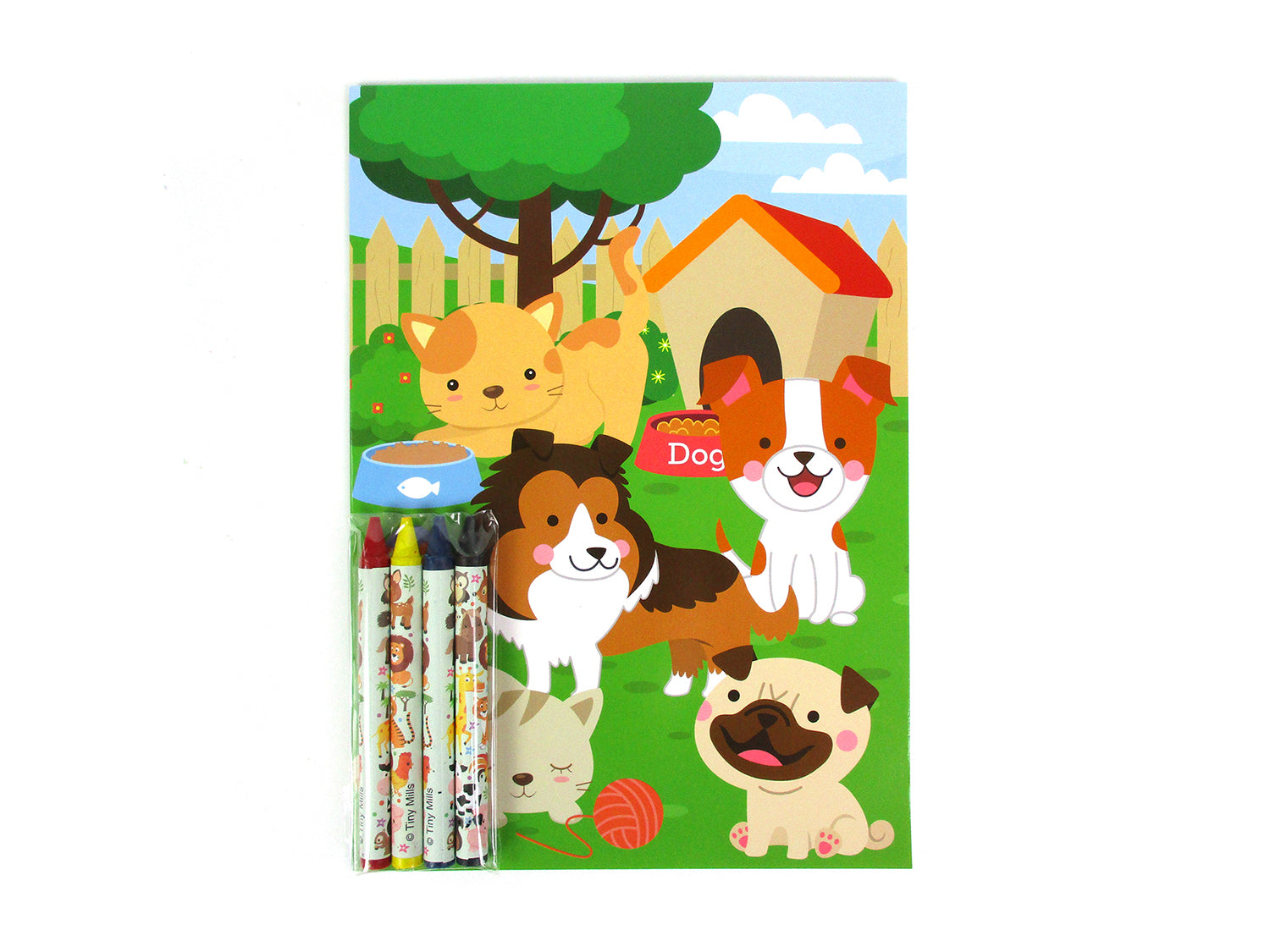 Animal Coloring Books With Crayons Party Favors - Set Of 6 Or 12