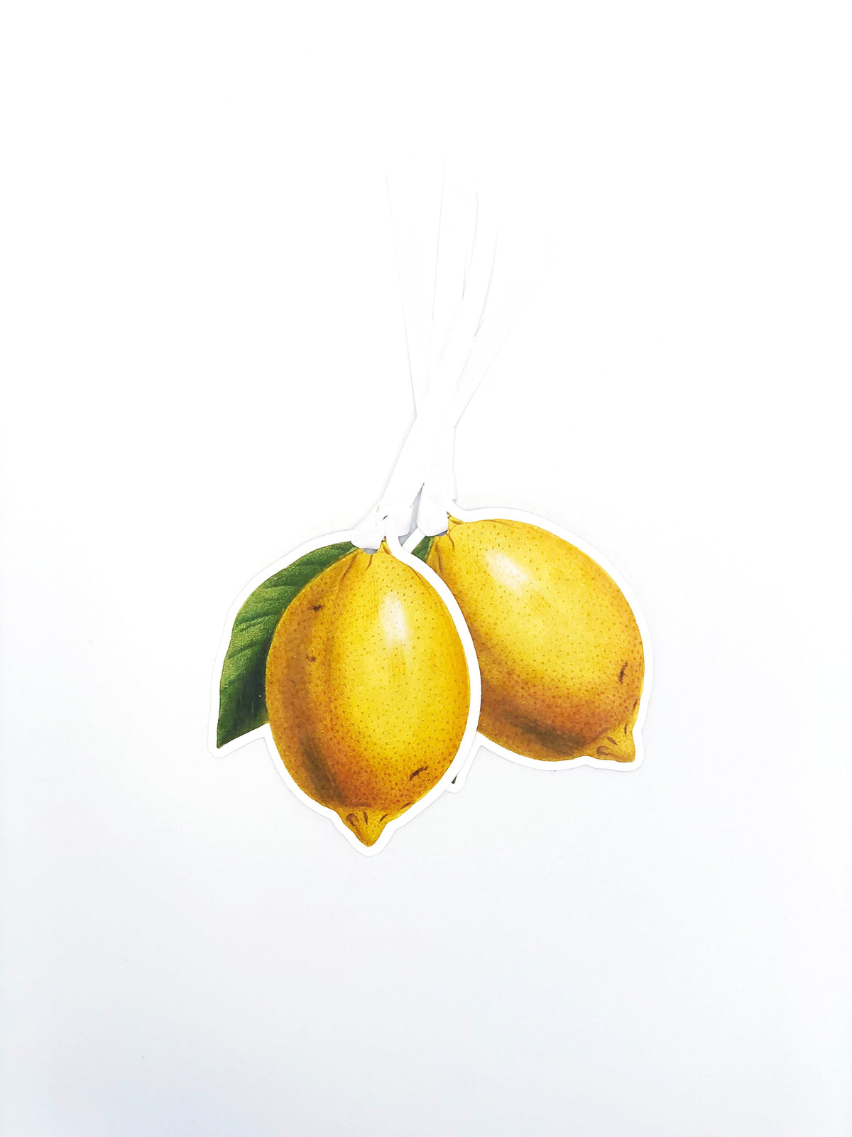 Lemon Gift Tag | Gift Tags By Josil Paperie