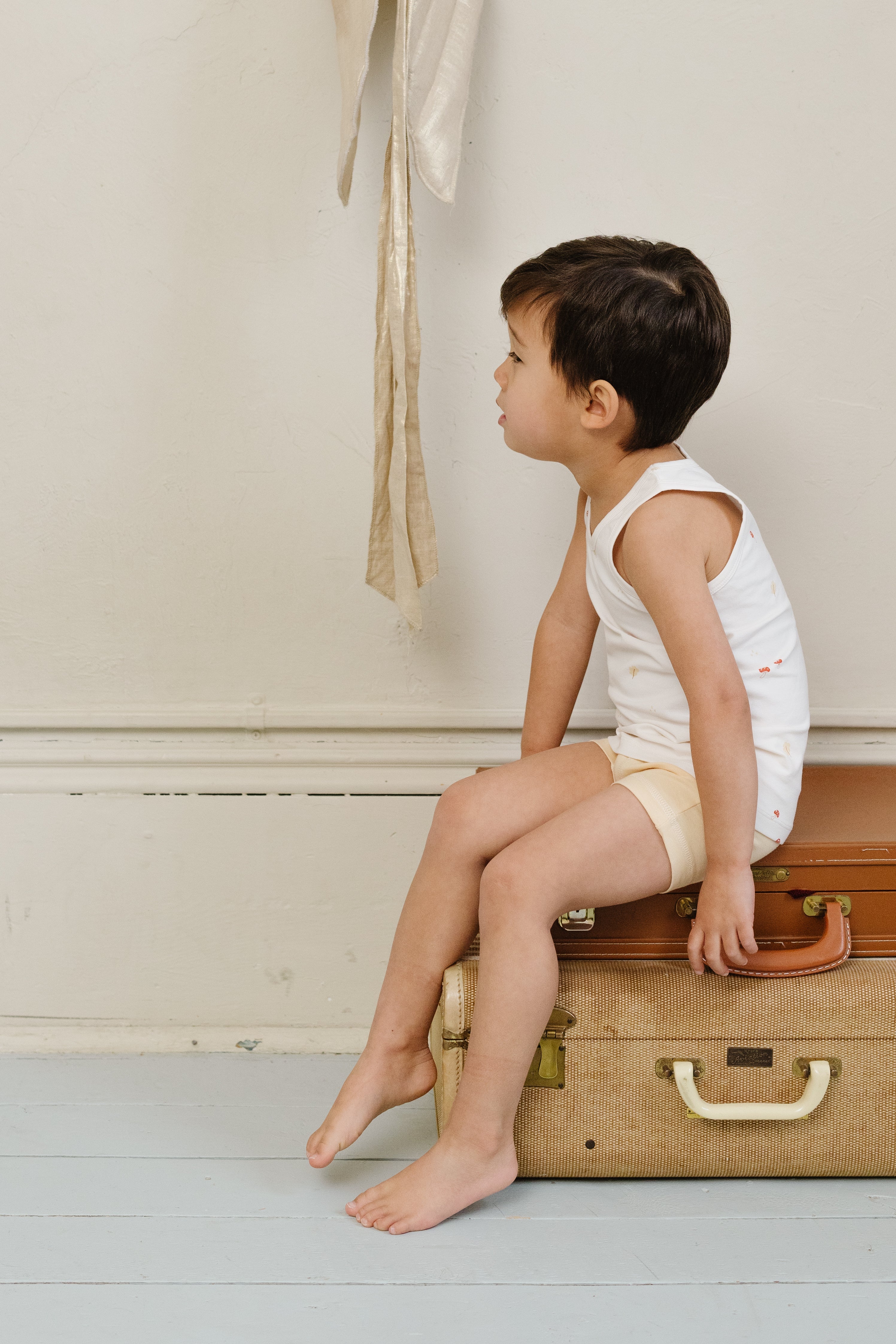 Boy's Undies Set-shorts