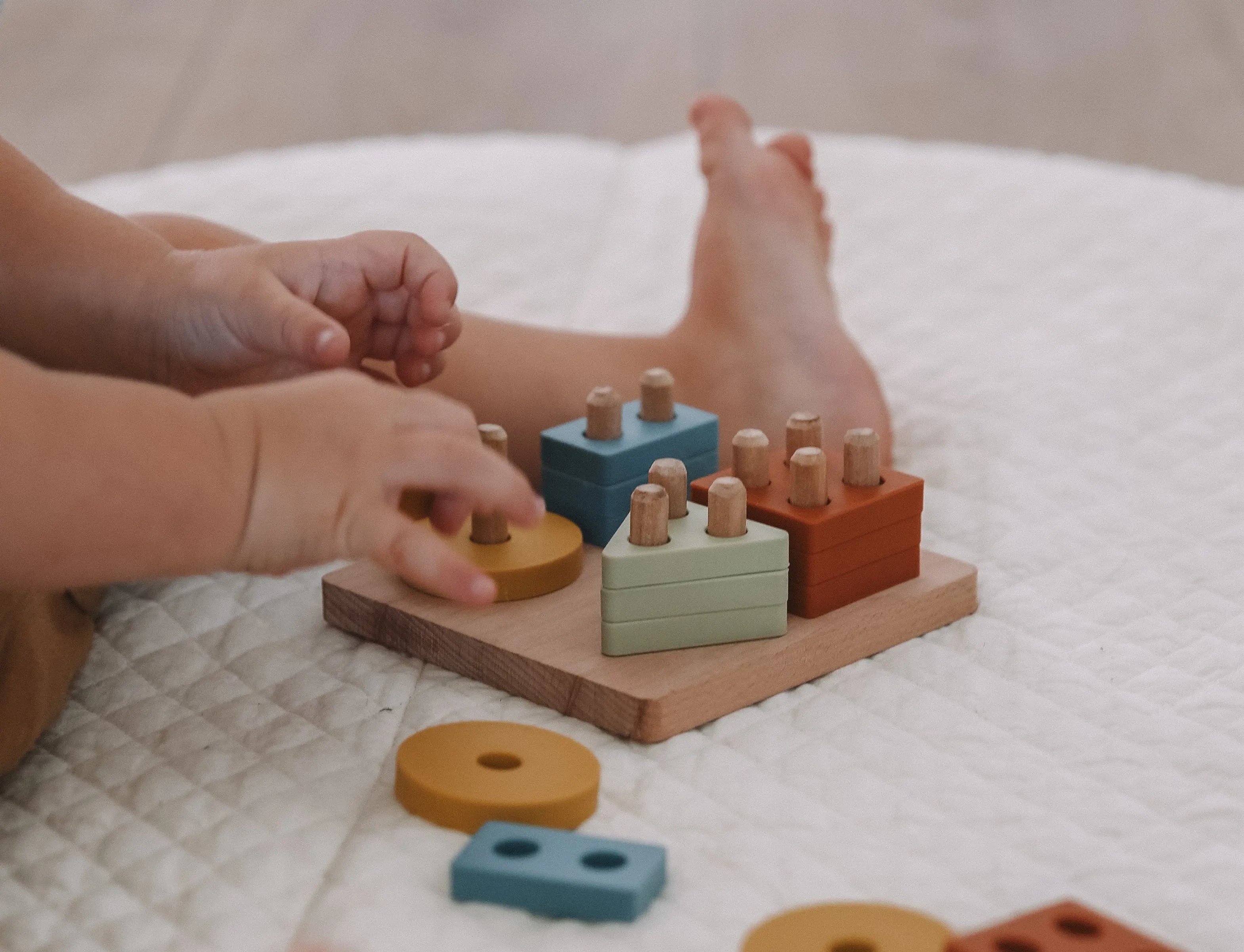 Montessori Shape Puzzle Toy | Lytl®️
