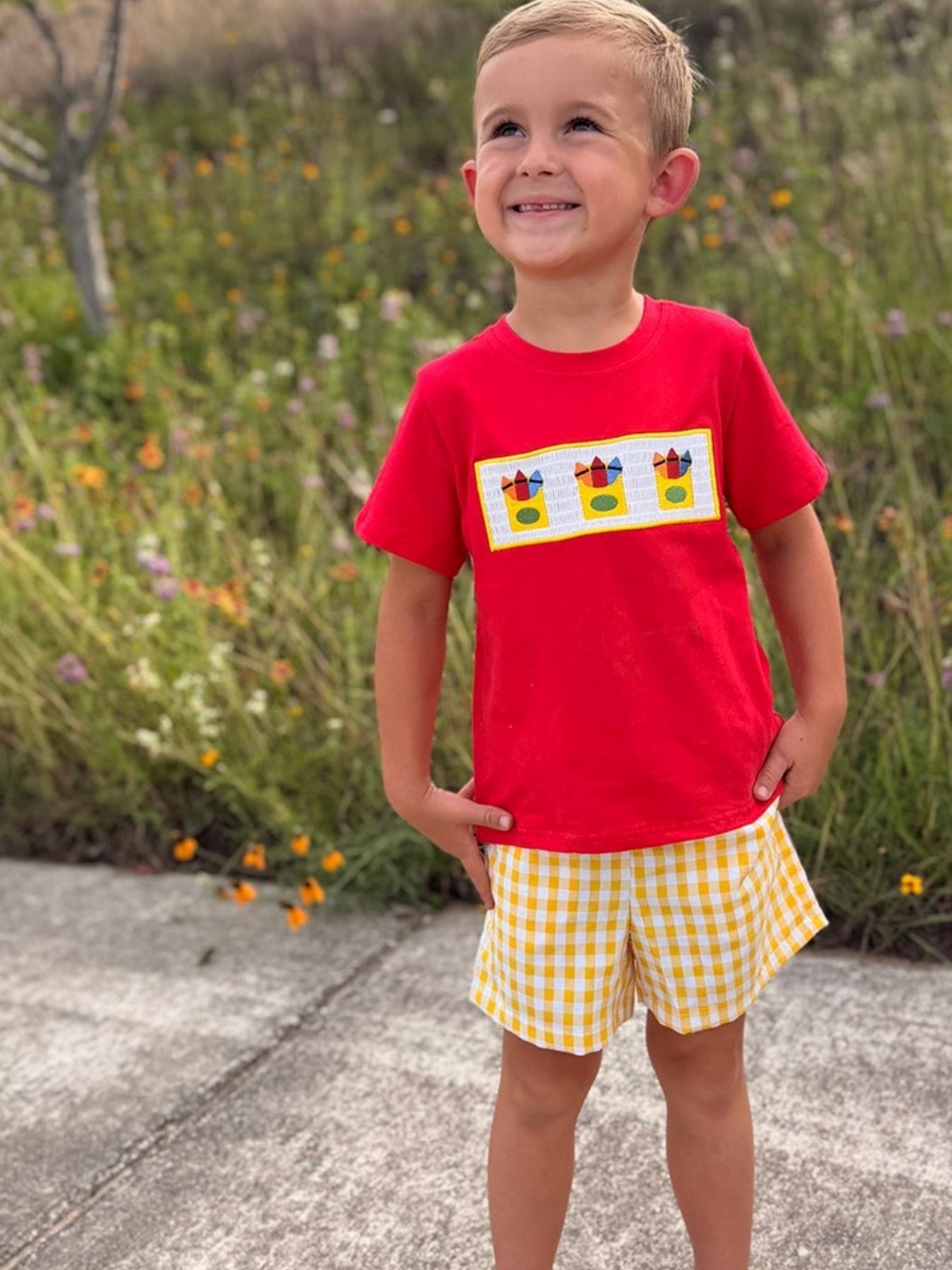 Back To School Crayon Smocked Boys Plaid Shorts Set