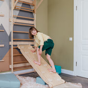 Playground Ladder