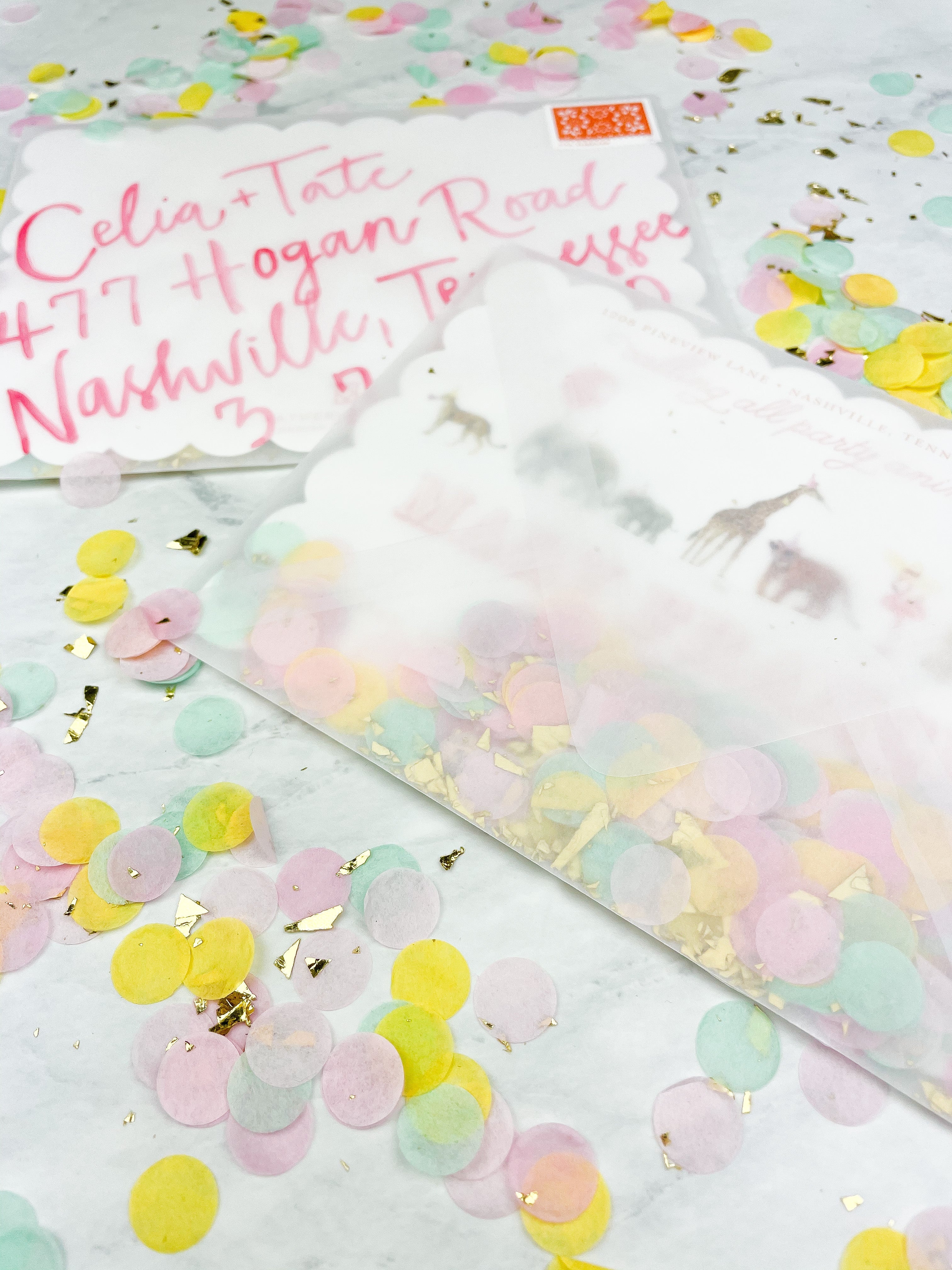 Pink Party Animal Invitation