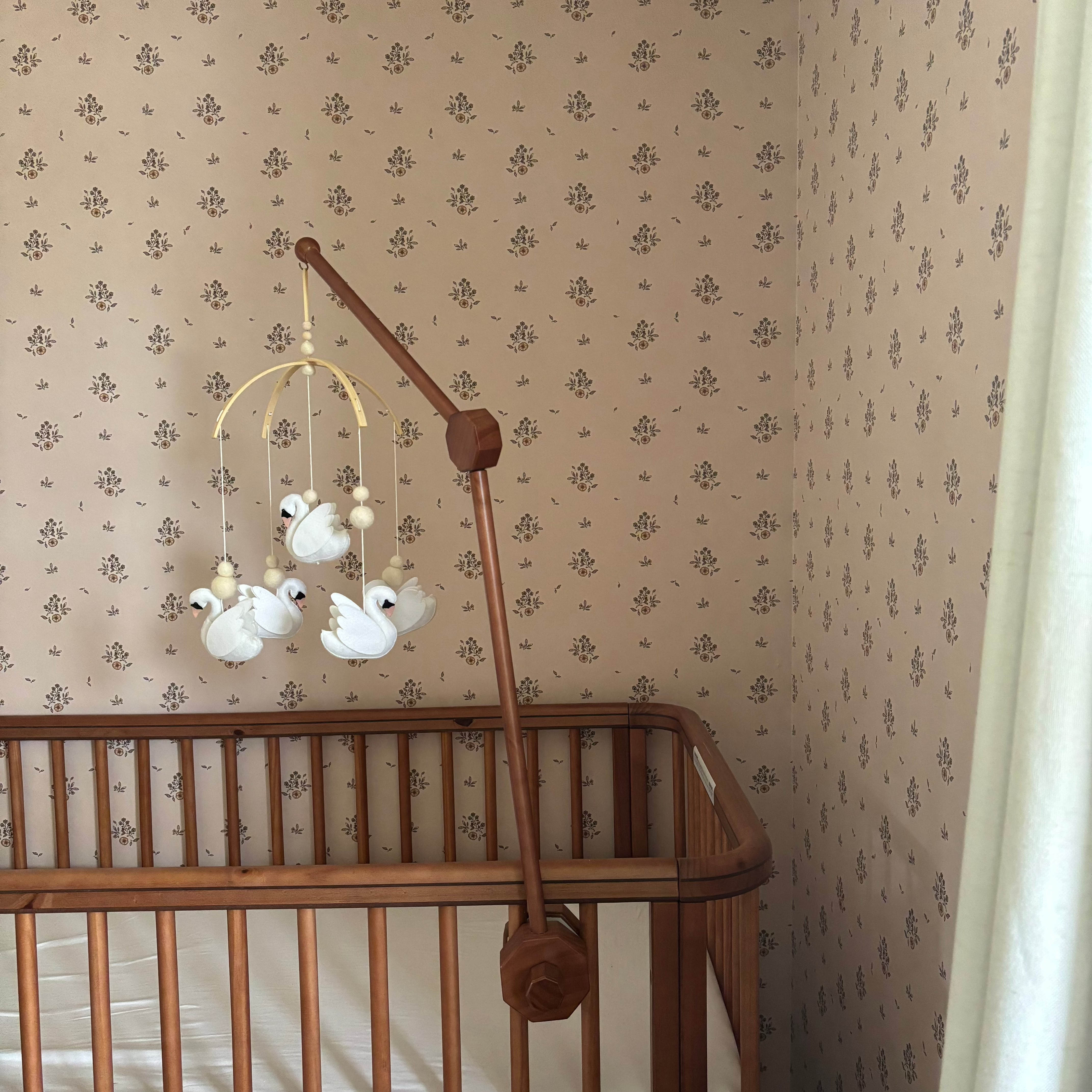 Petunia Wallpaper By Danelys Sidron