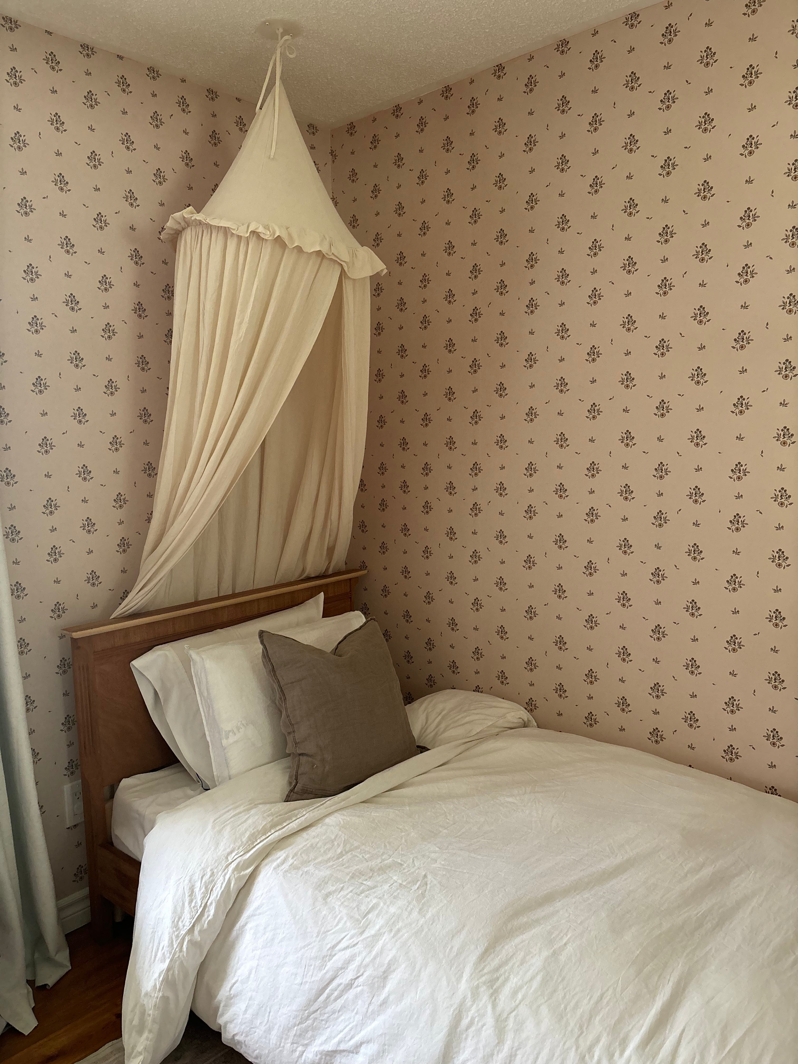 Petunia Wallpaper By Danelys Sidron