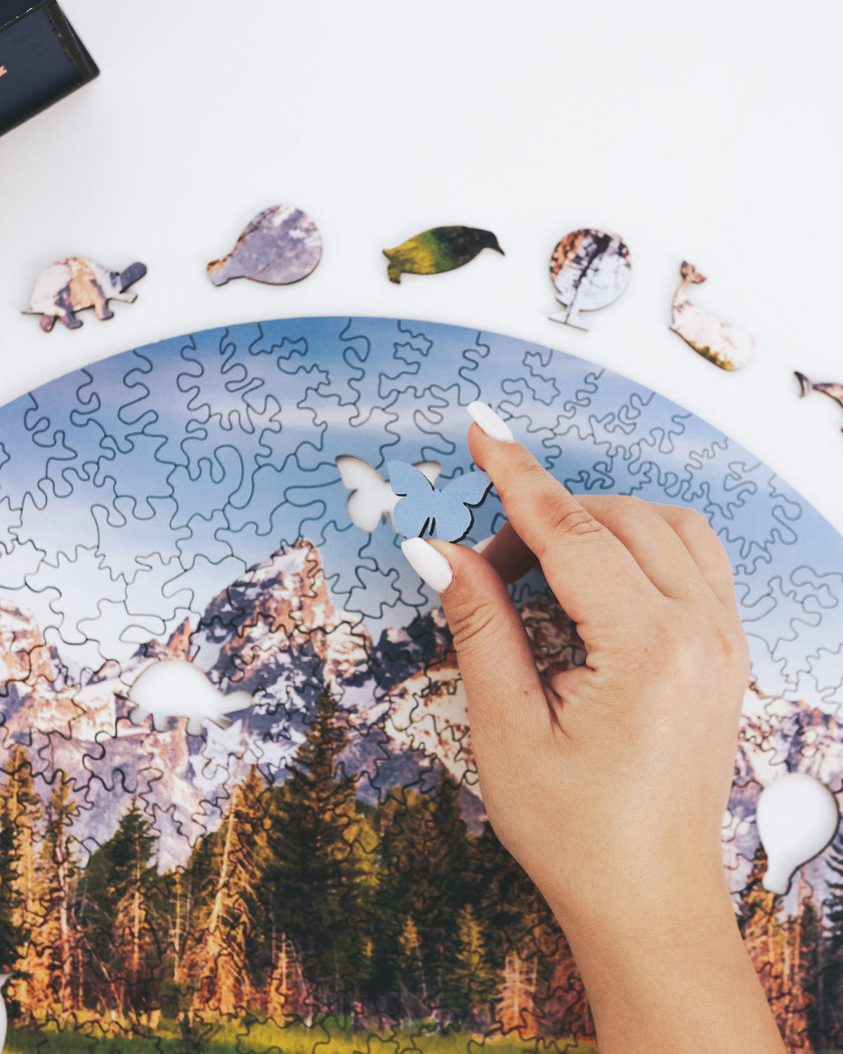 Puzzle Grand Teton National Park