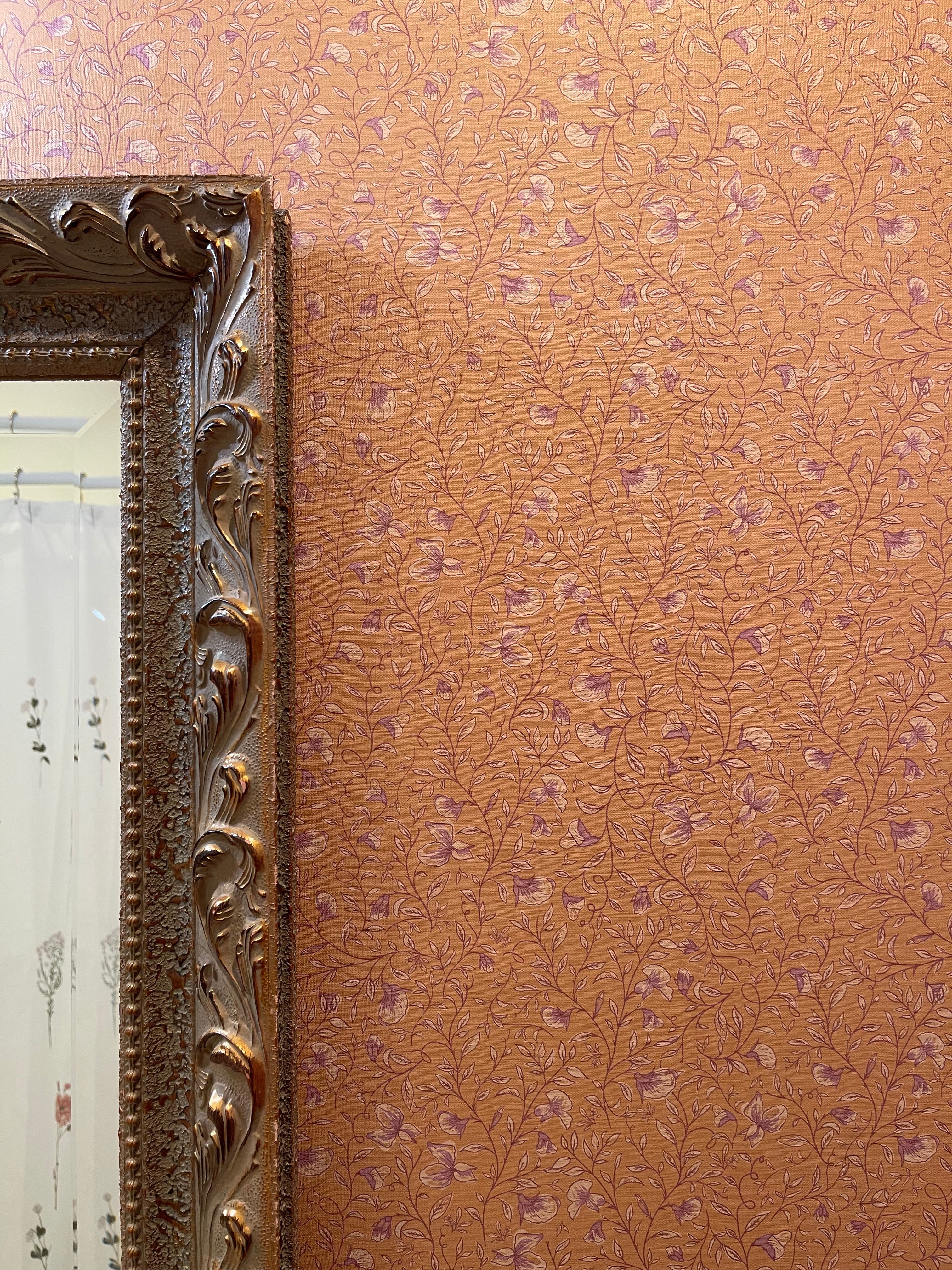 Edelweiss Wallpaper By Danelys Sidron