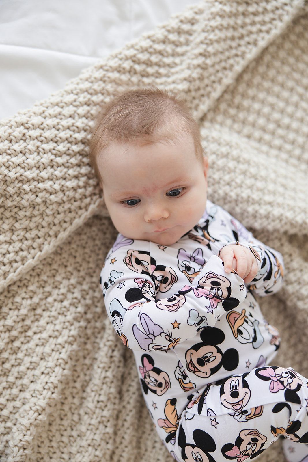 Sensational Six - Zippy