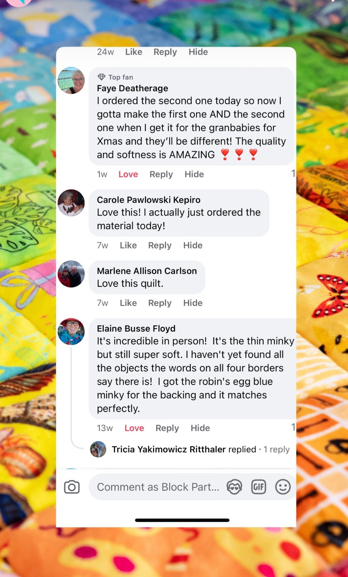 Abc Hidden Pictures Minky Quilt Panel