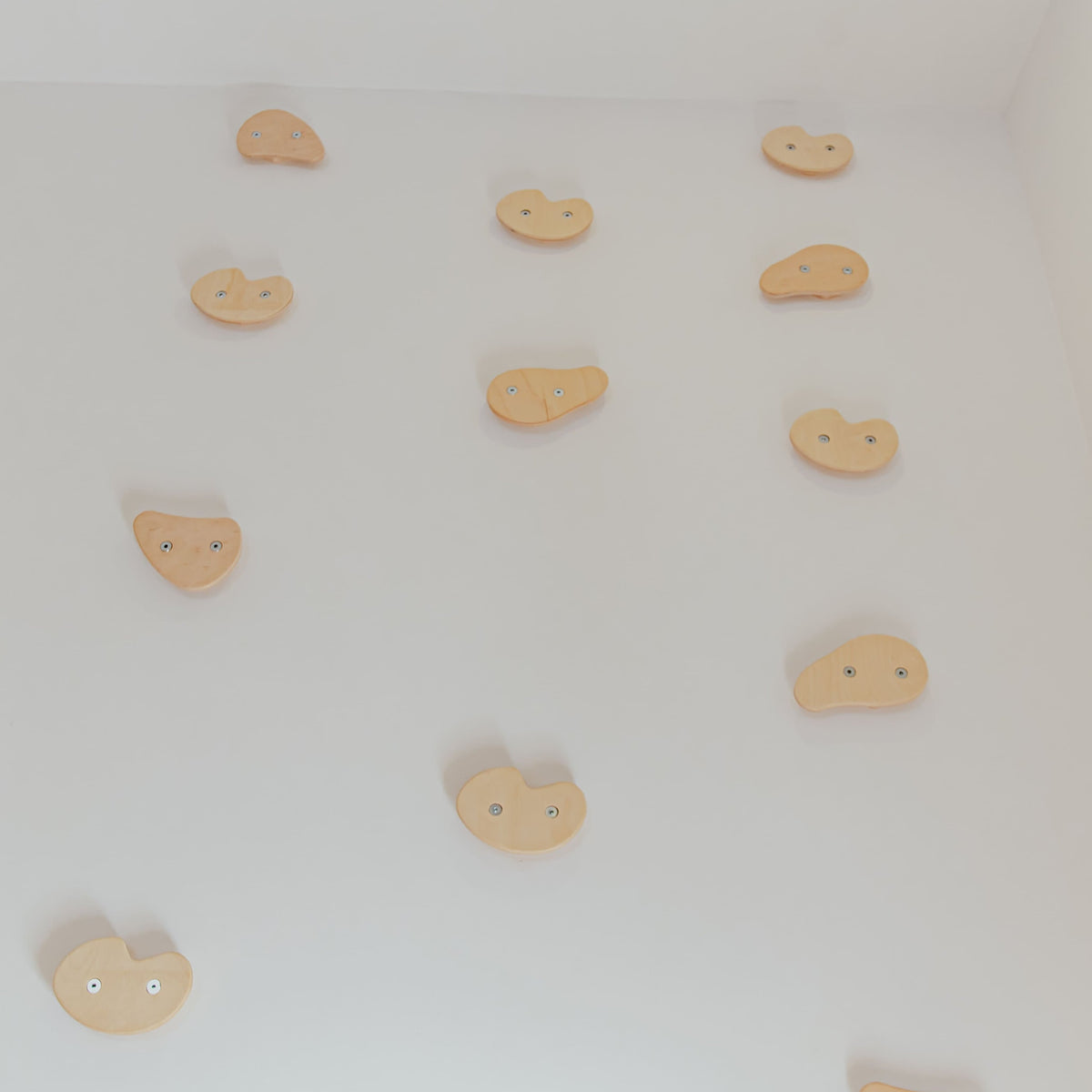 Climbing Holds