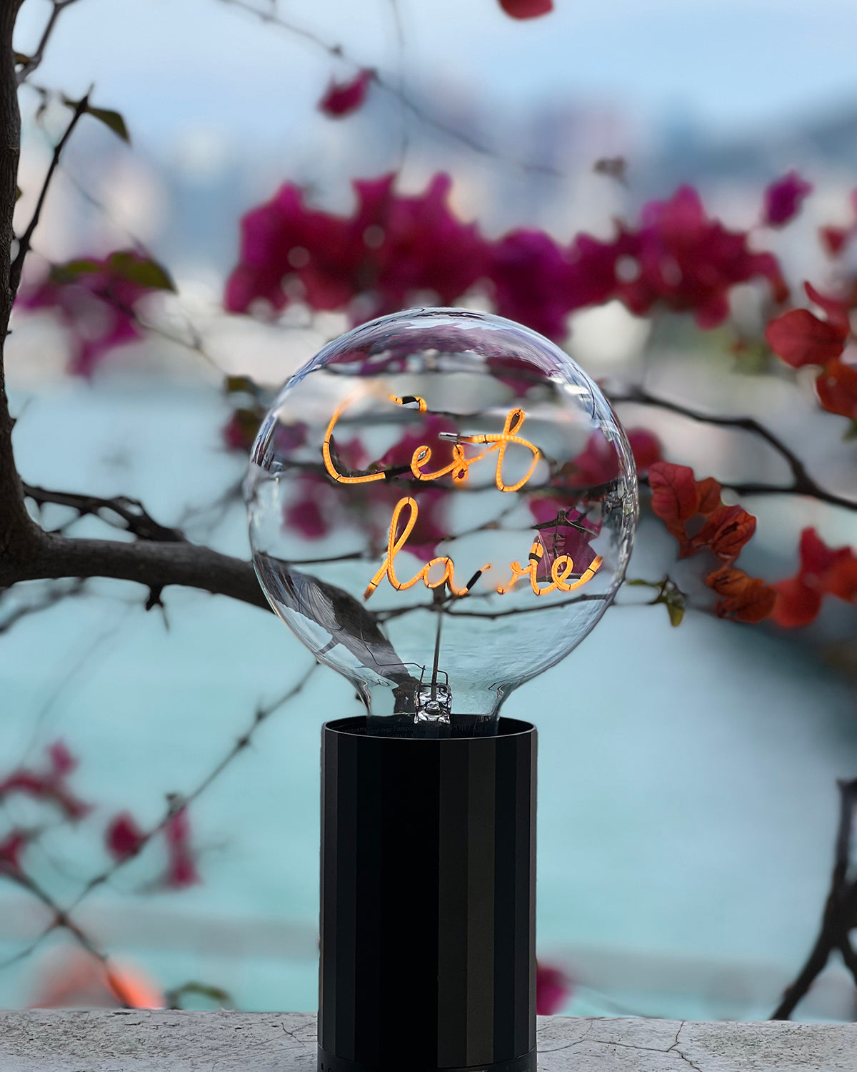 Mitb Bulb C'est La Vie Amber