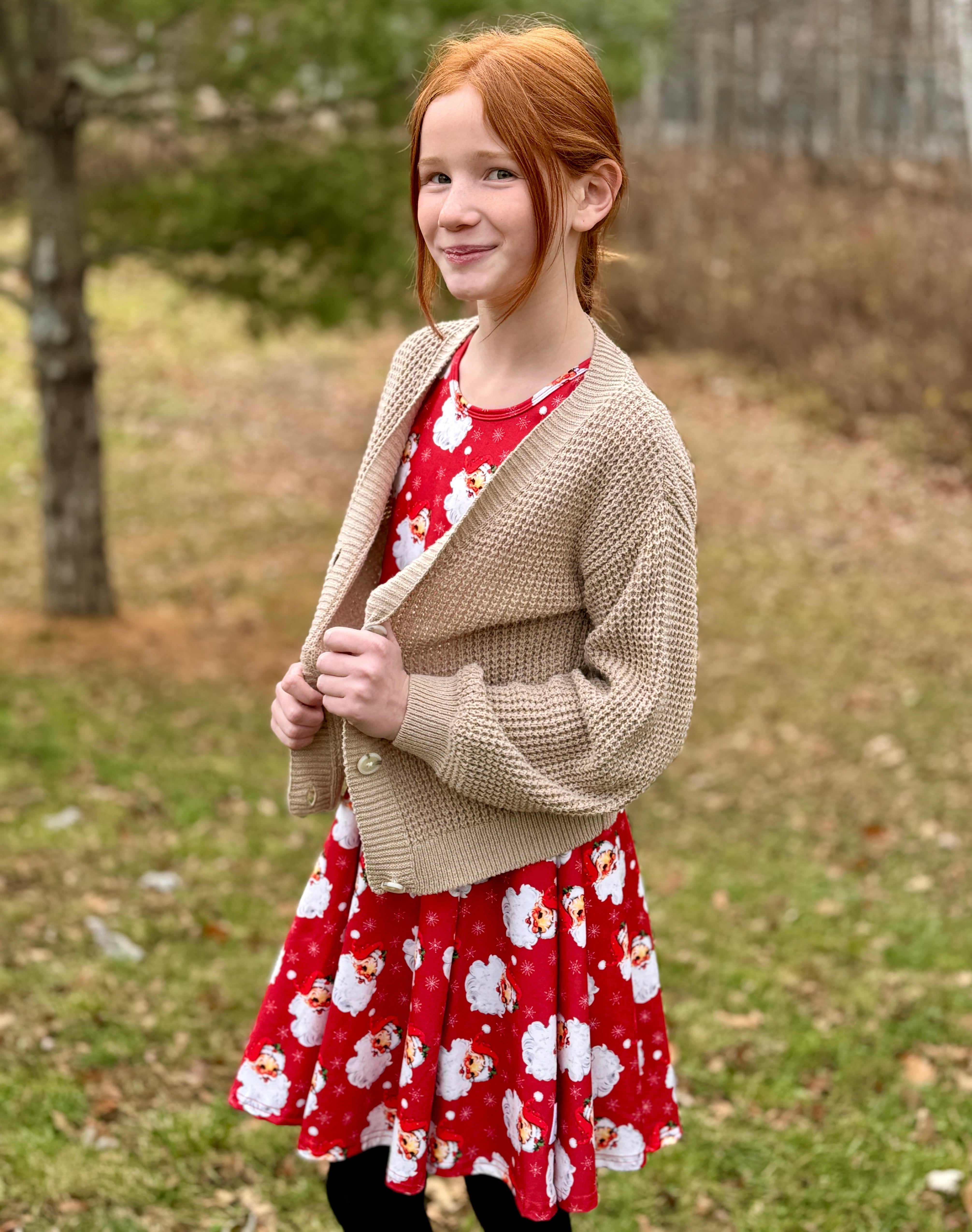 Santa Twirl Dress