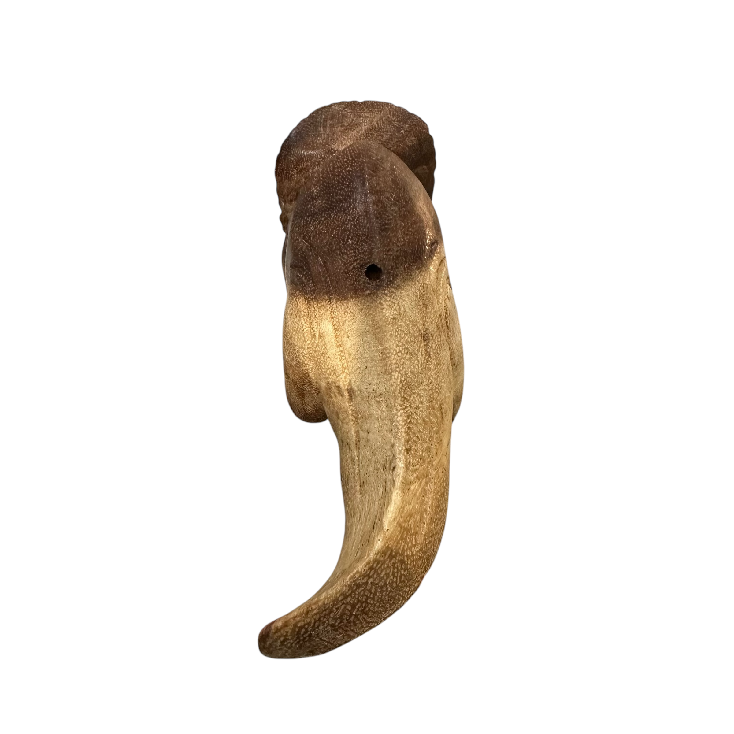 Wooden Musical Tri Dinosaur Whistle Instrument
