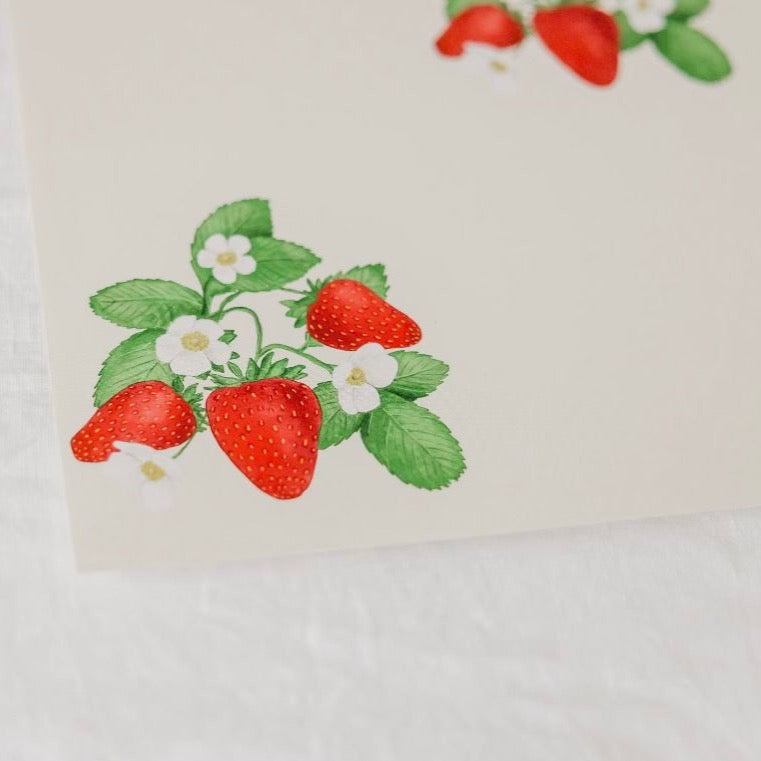 Gemma Wallpaper By Christy Beasley