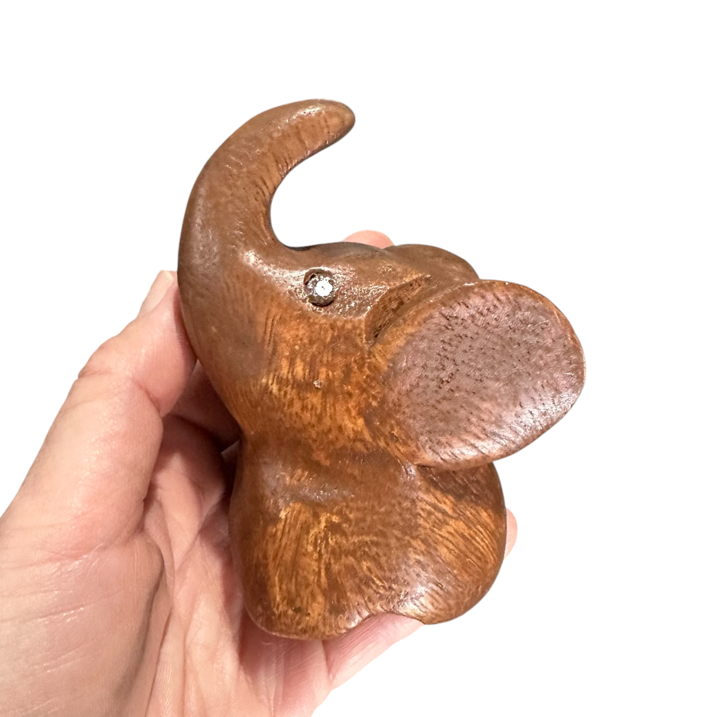 Dark Oak Elephant Butterfly Ears