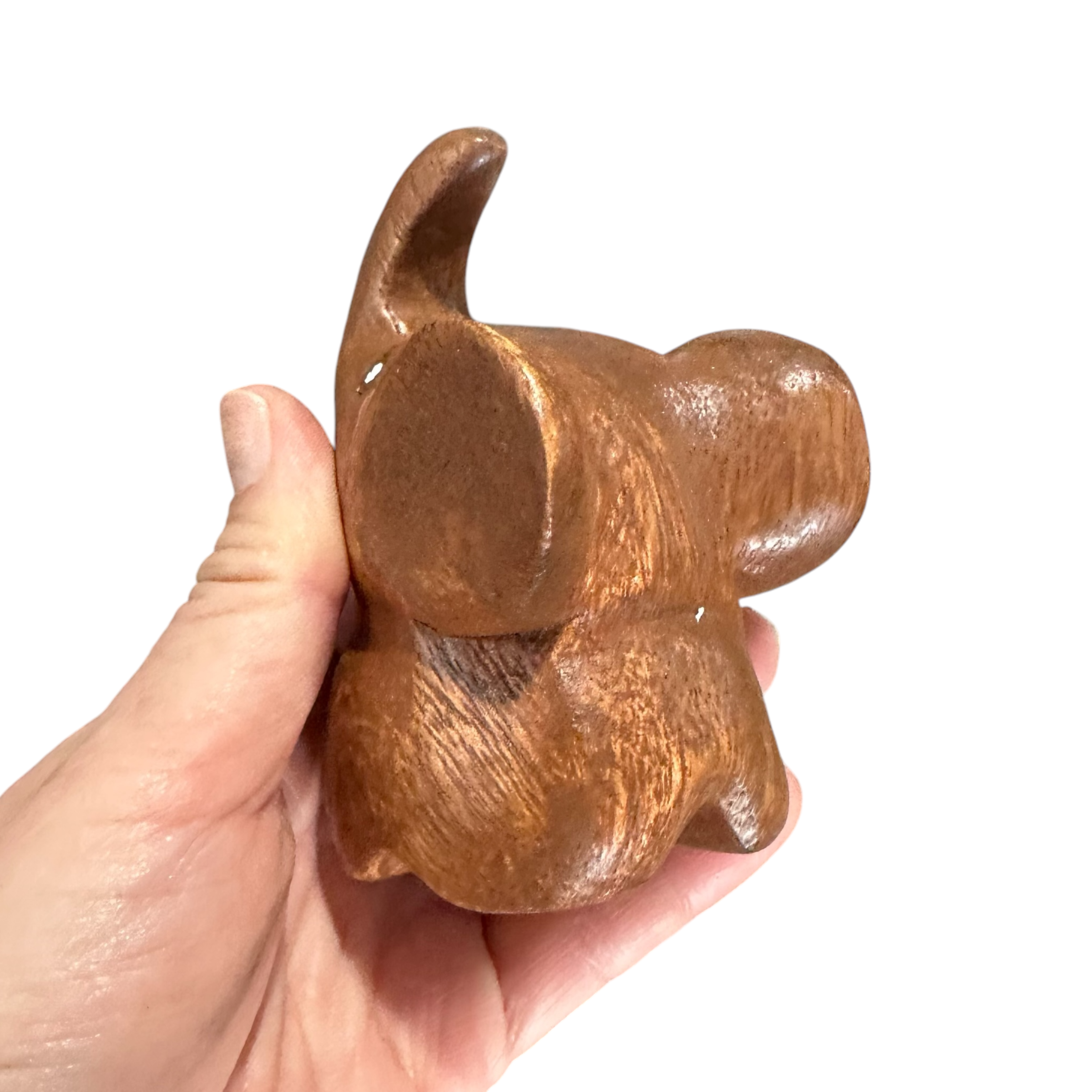 Dark Oak Elephant Butterfly Ears