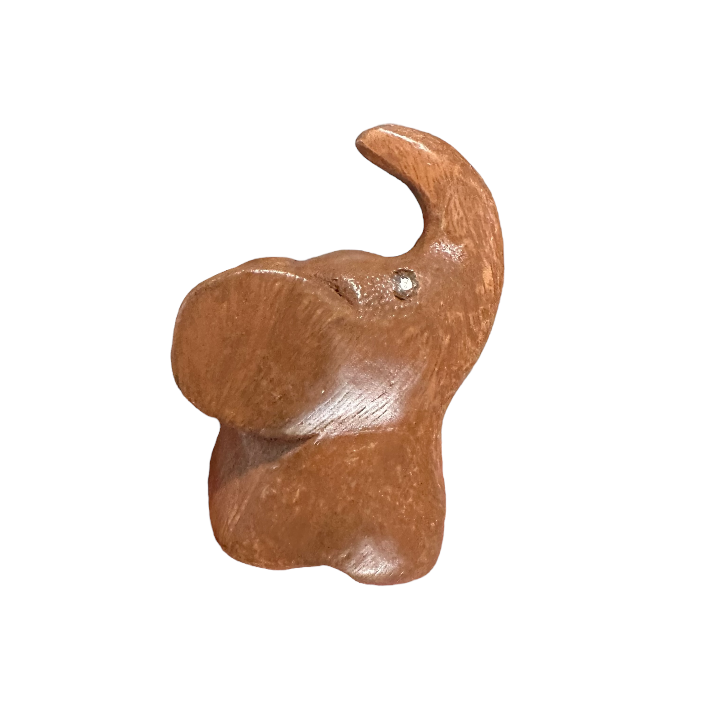 Dark Oak Elephant Butterfly Ears