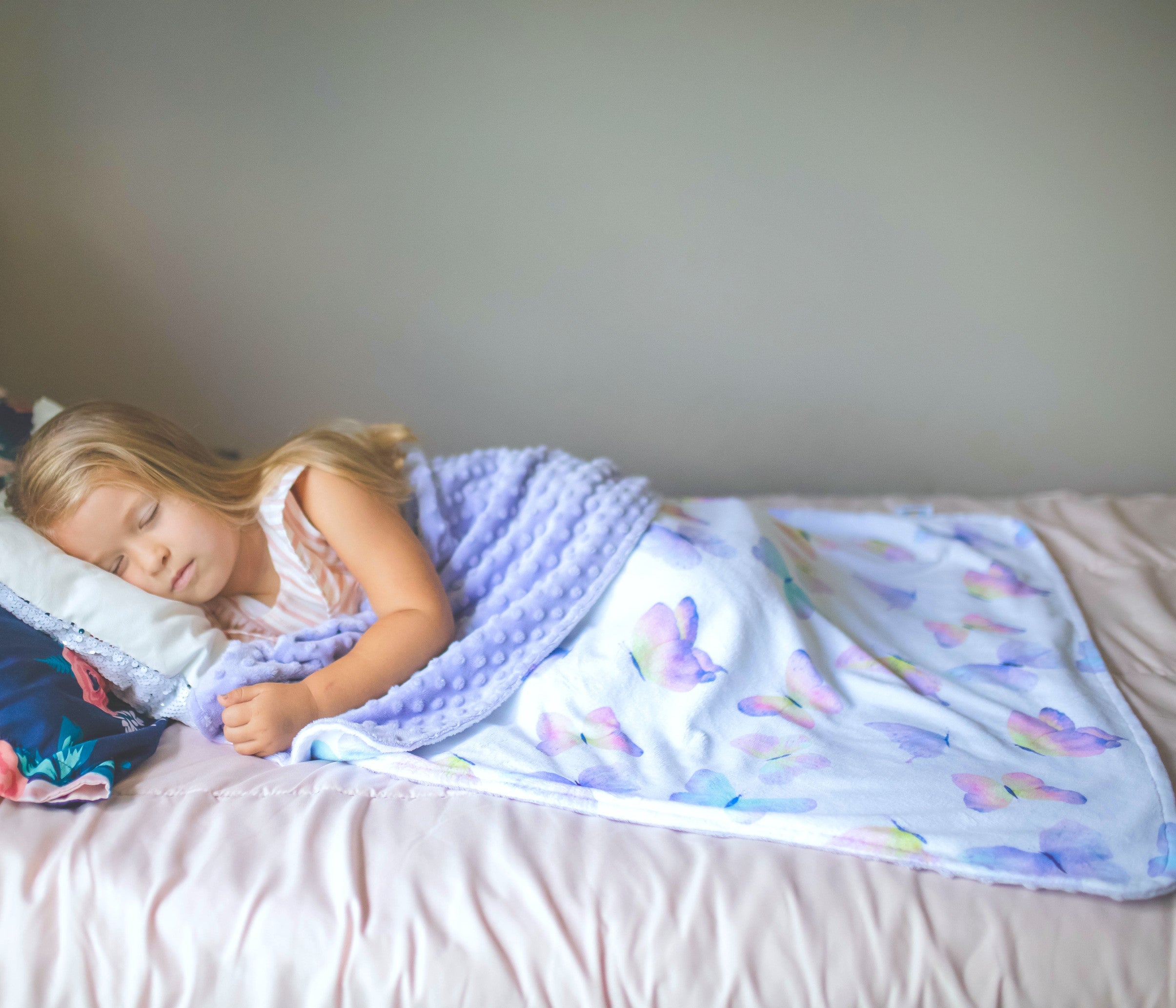 Butterfly Minky Baby Blanket