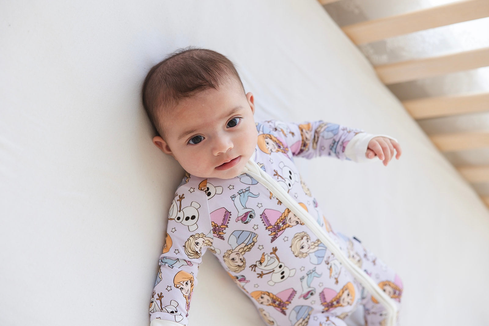 Eternal Winter - Zippy