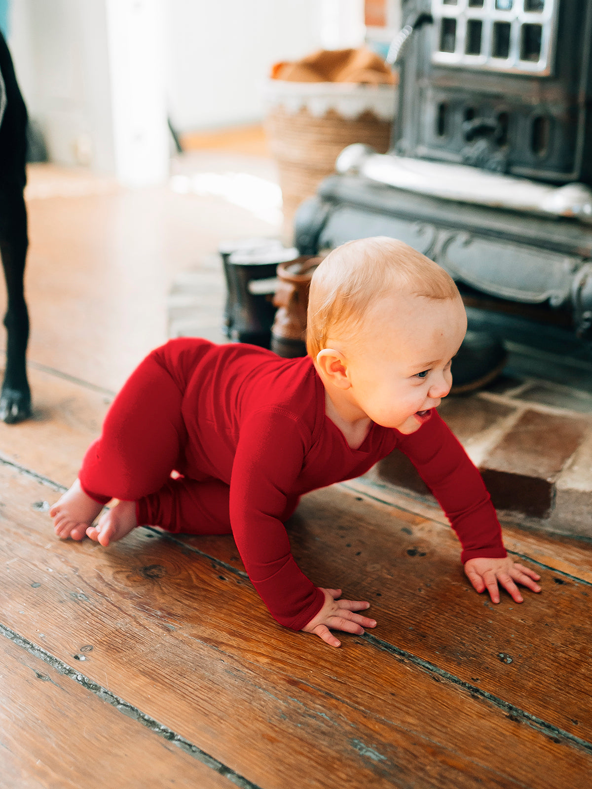 Baby Merino Legging - Wide Waistband