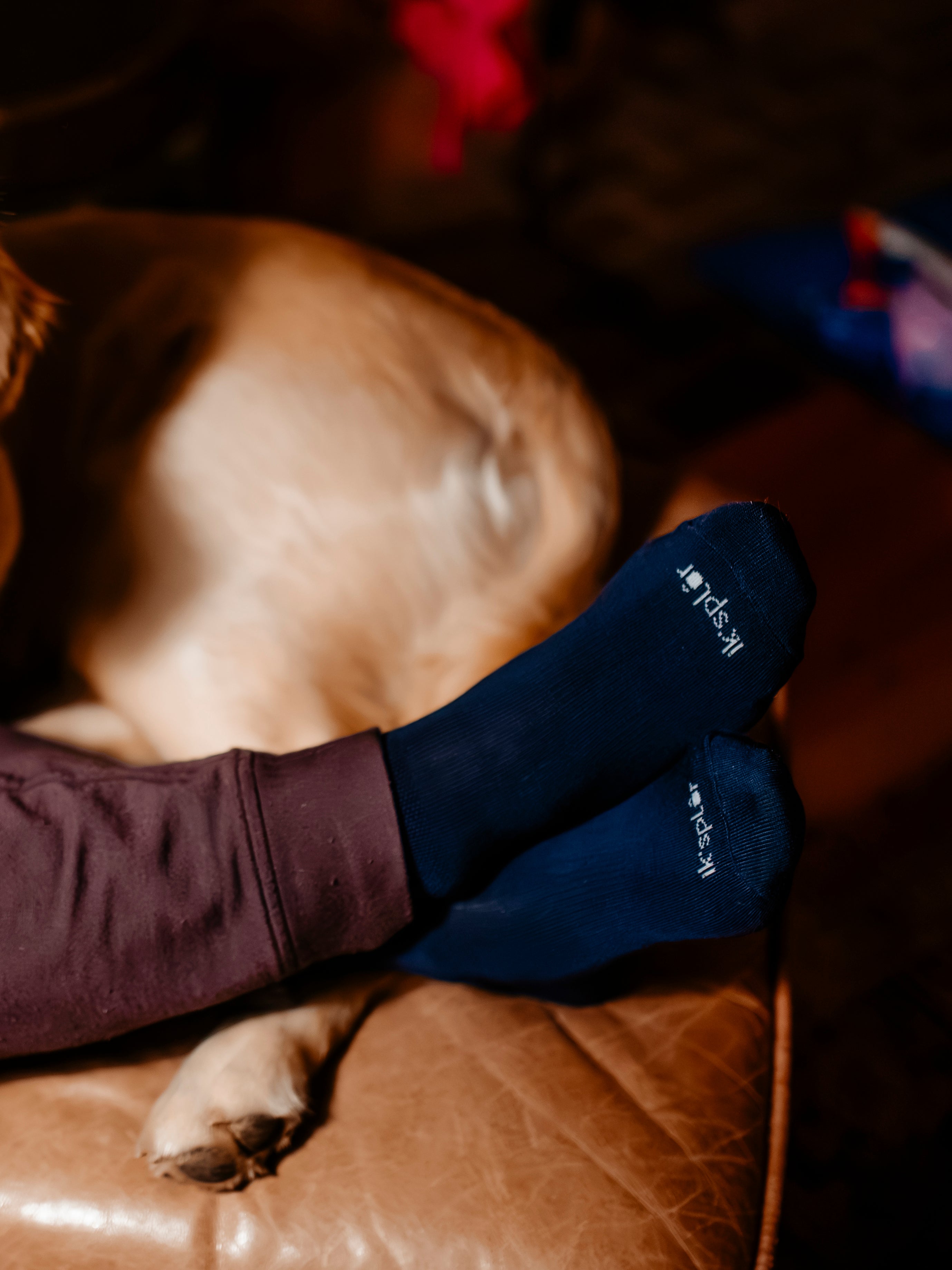 Merino Wool & Tencel Trail Socks (2 Sets)