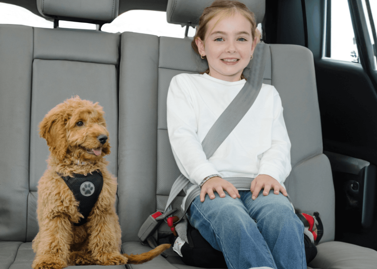 Bubblebum Inflatable Car Booster Seat - Travel Booster Seat - Rainbow Style ✔️