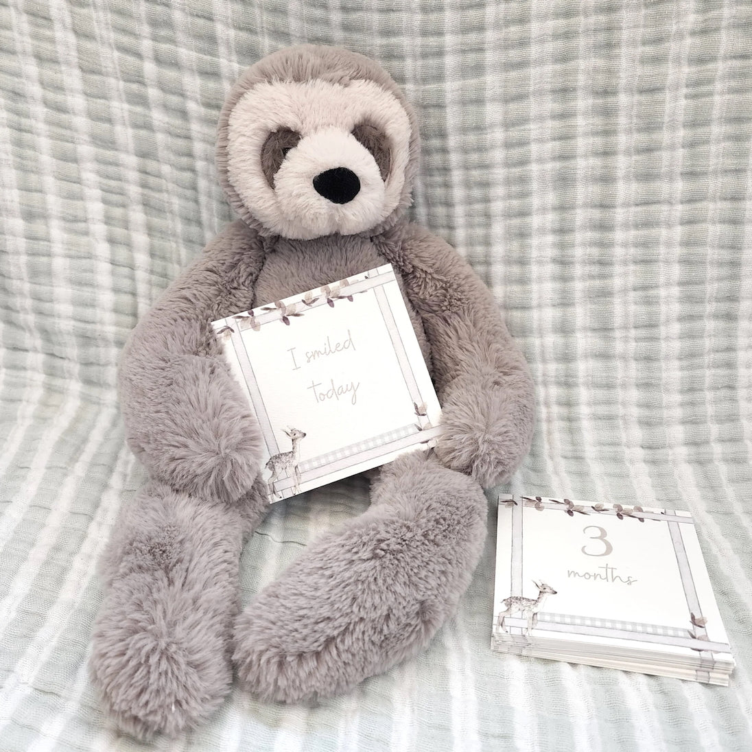 Infant Milestone + Memory Cards (0-12 Months)