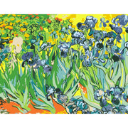 Irises – Paint By Numbers Kit | Artwille | 14x18 Inch Canvas
