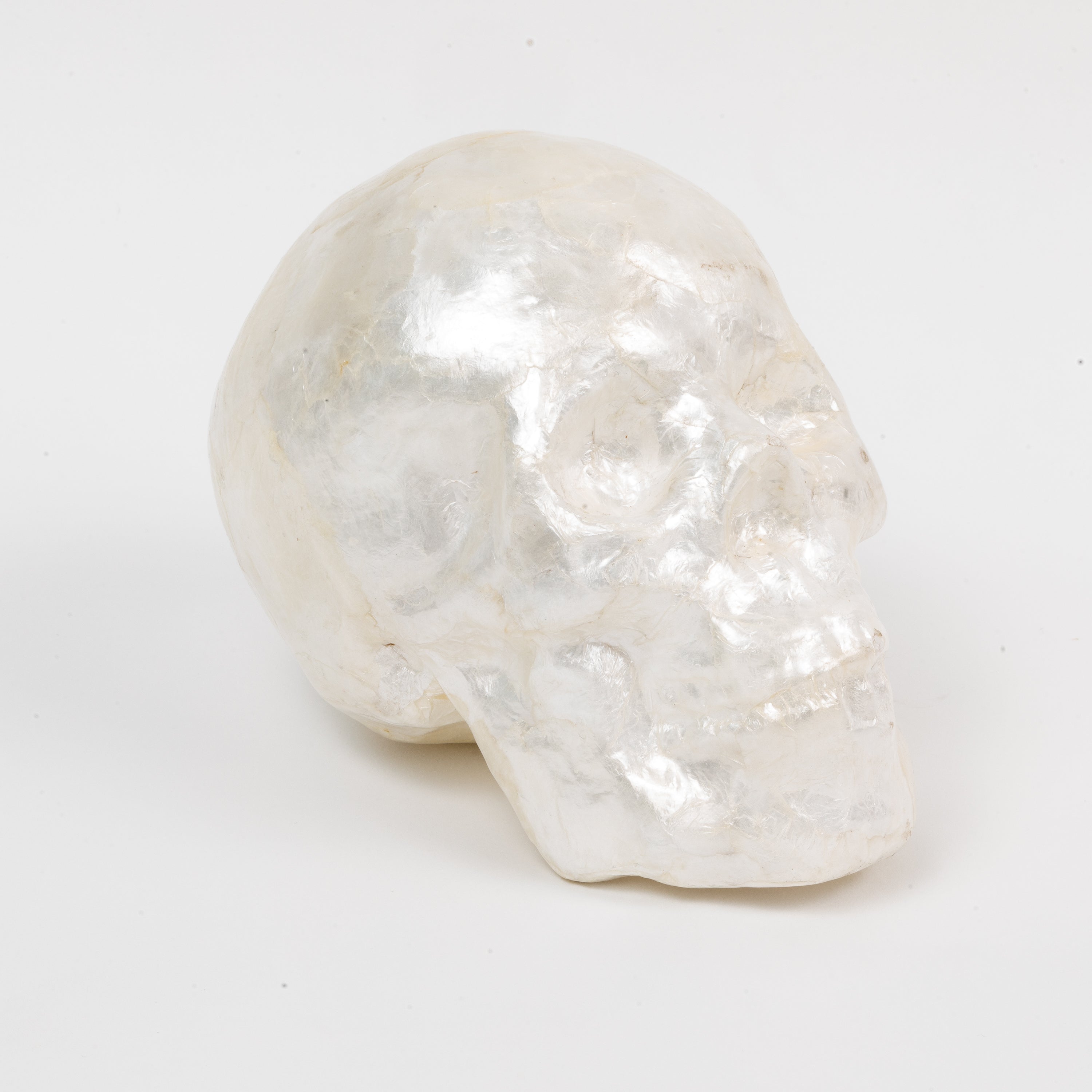 Capiz Skull, Pearl