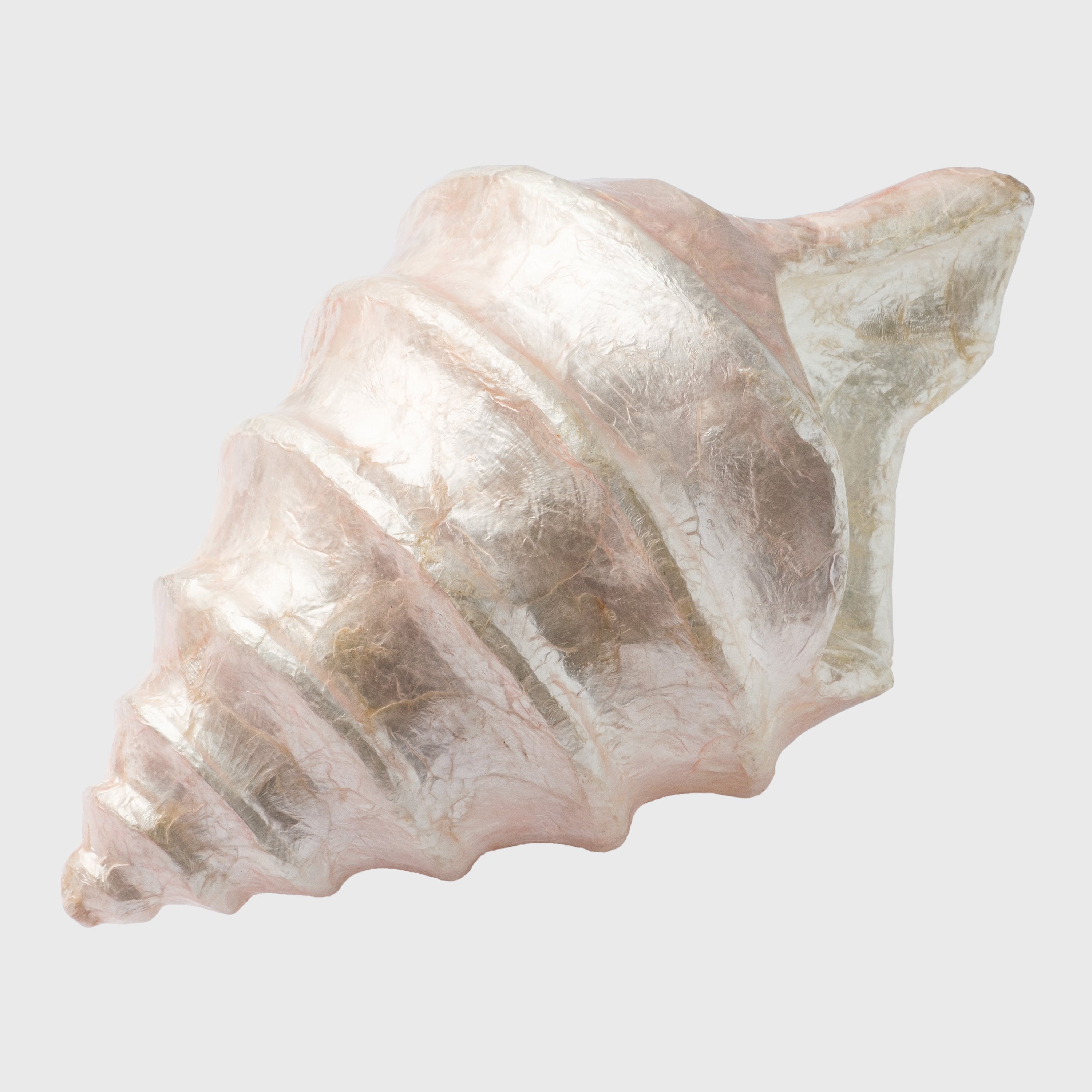 Capiz Shell Decorative Object