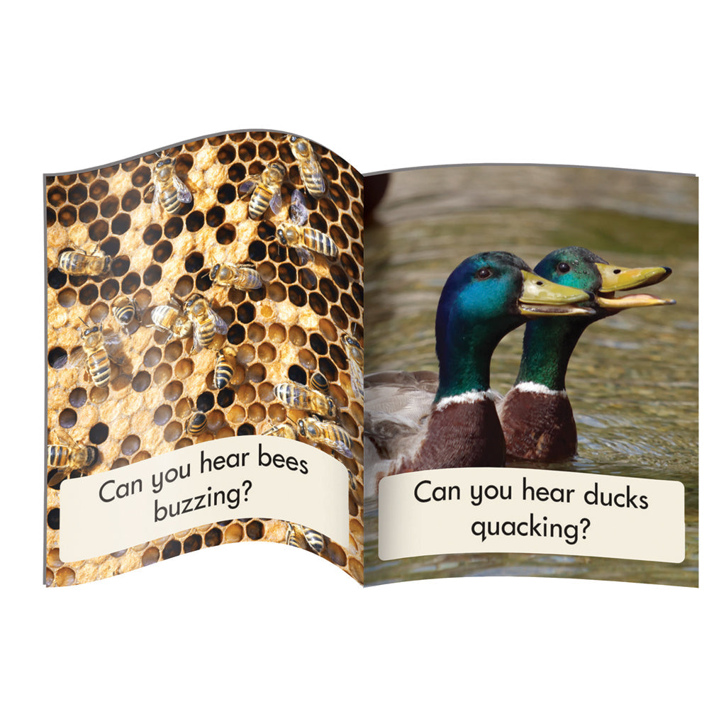 Letters & Sounds Phase 3 Set 1 Non-fiction - 6 Pack