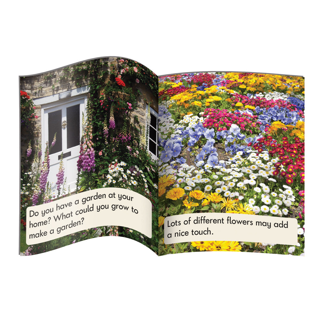 Letters & Sounds Phase 5 Set 1 Non-fiction - 6 Pack