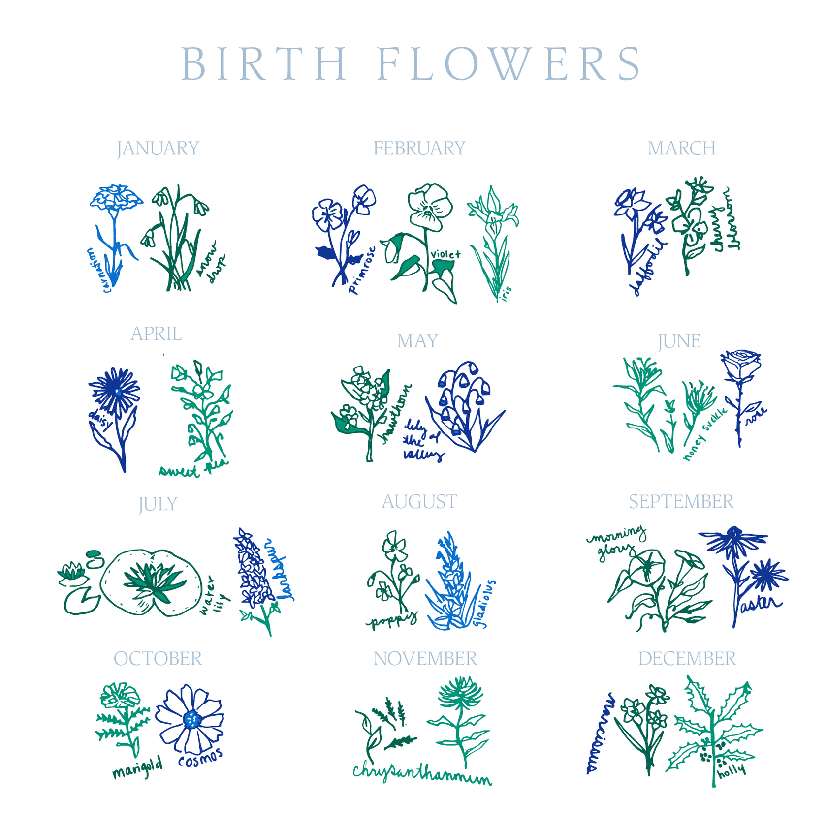 Birth Flowers Baby Blanket - Birth Flowers - Aster Multi