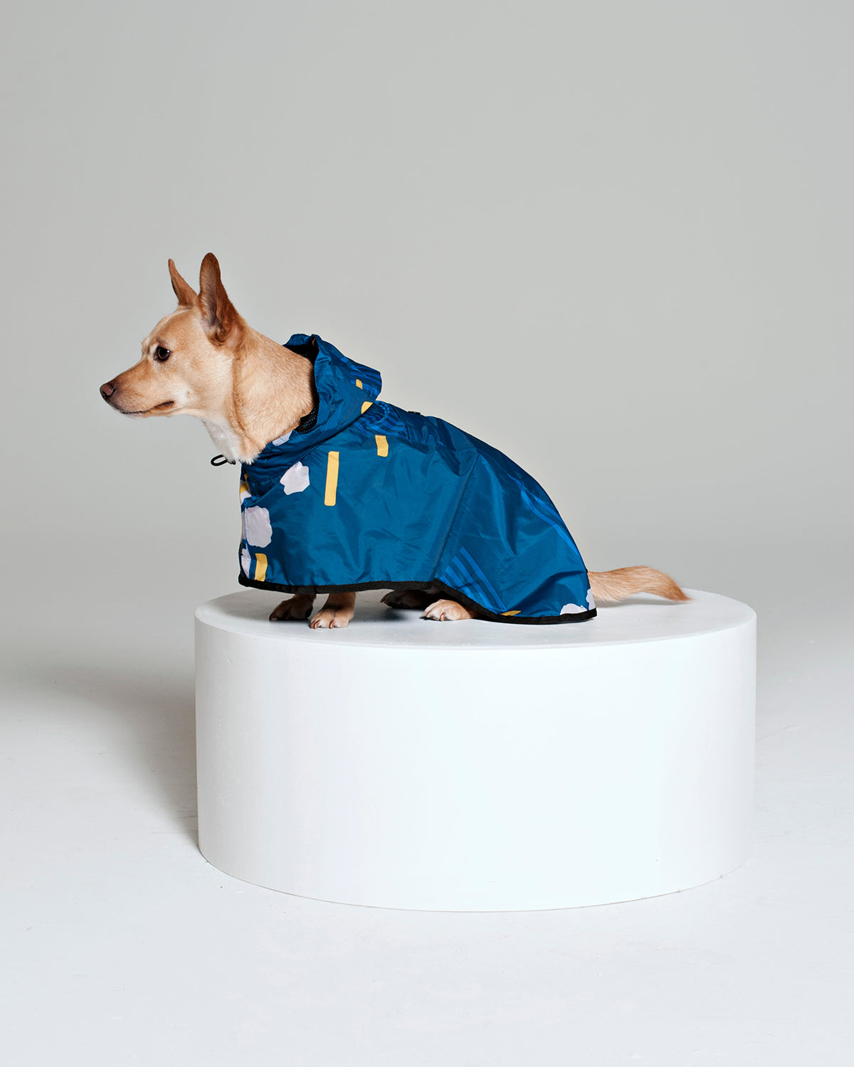 Dog Poncho Japanese Blossom