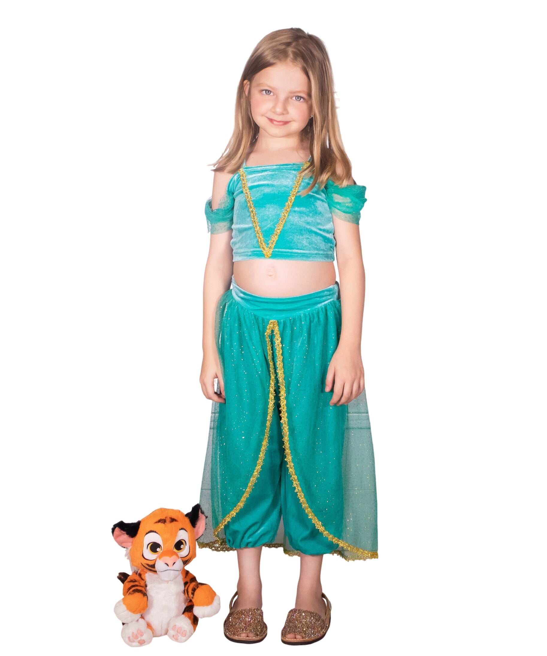 The Arabian Princess Costume Dress