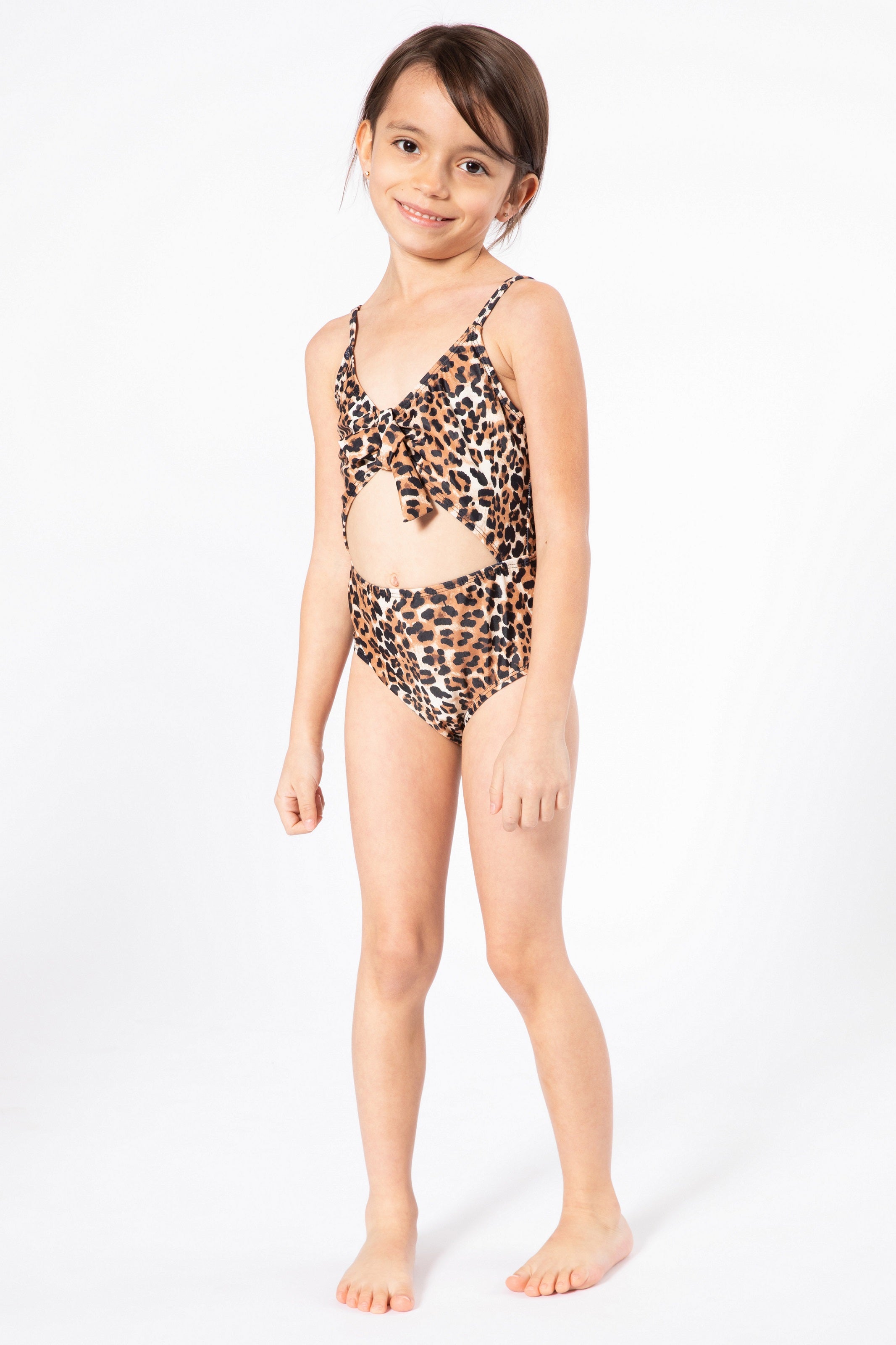 K4712-cheetah