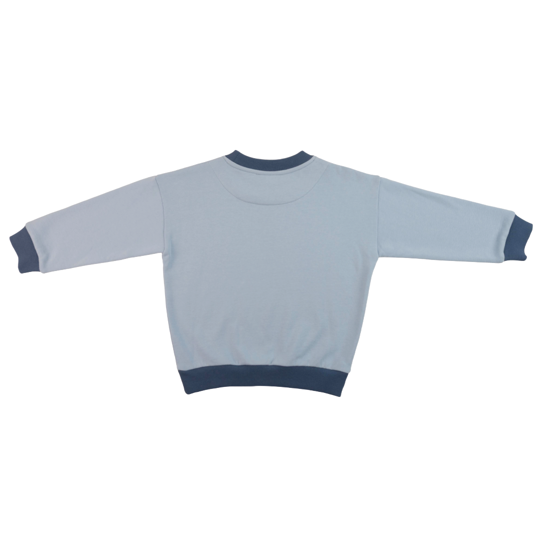 Kids Contrast Sweatshirt In Light Blue With Navy Blue