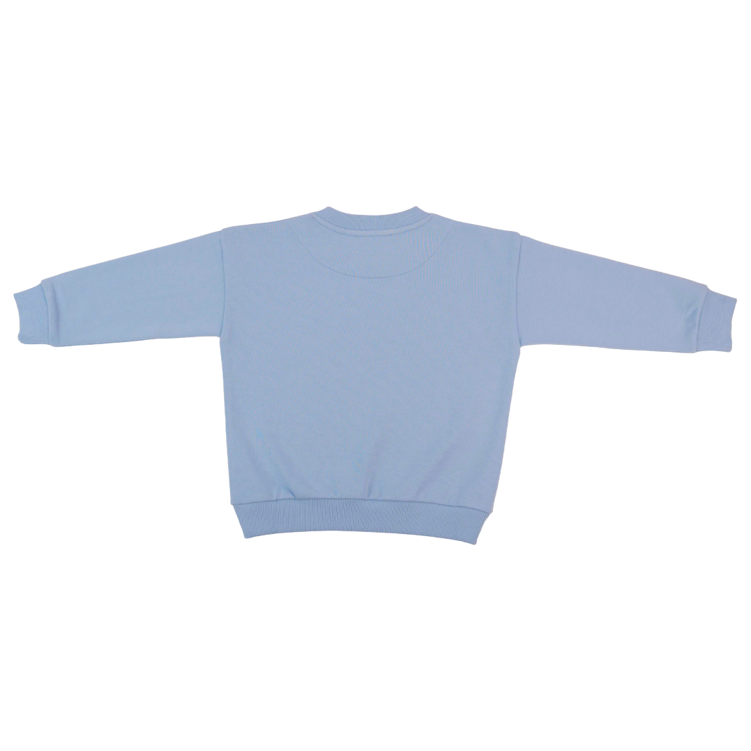 Solid Kids Sweatshirt In Light Blue