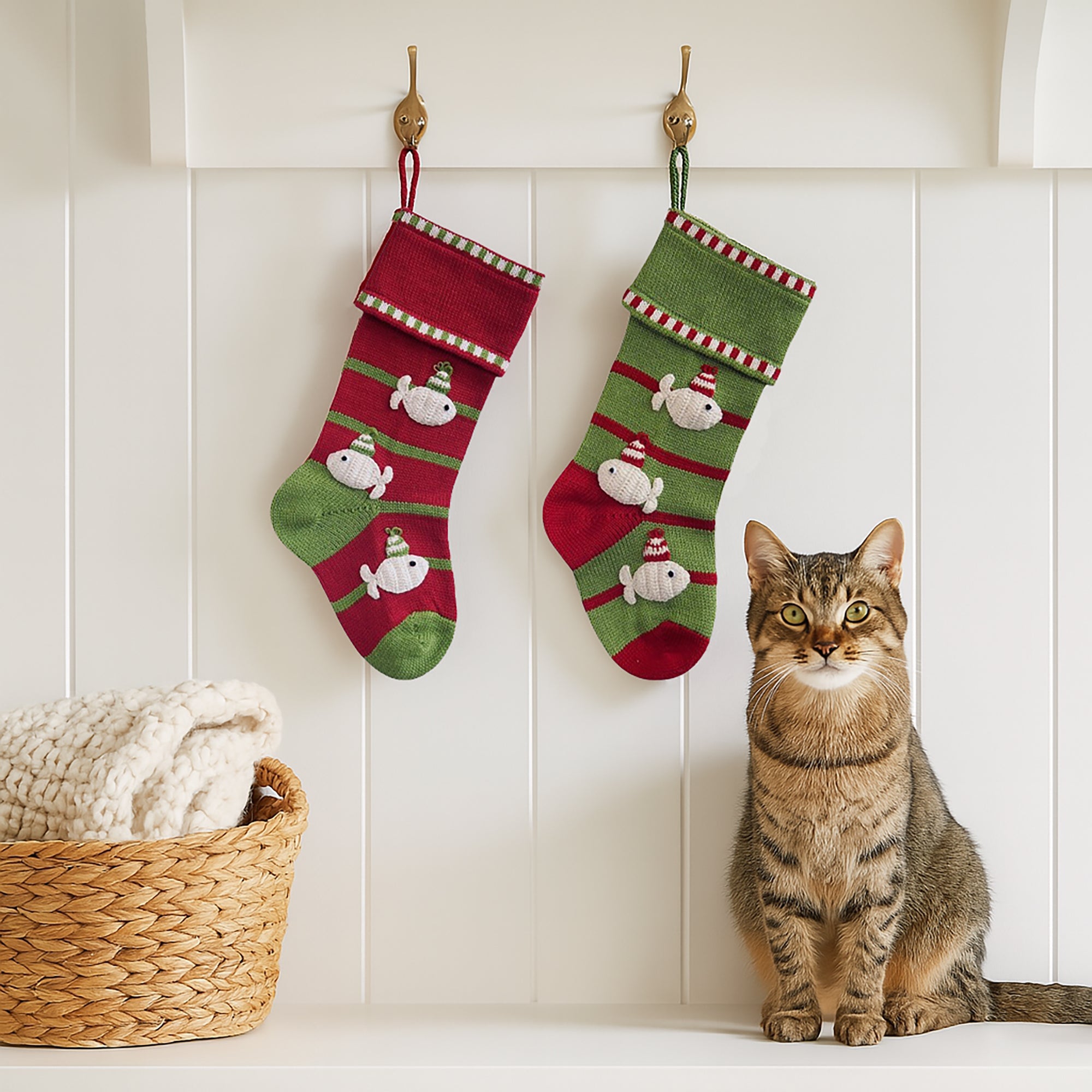 Fish Stocking For Cat, Red