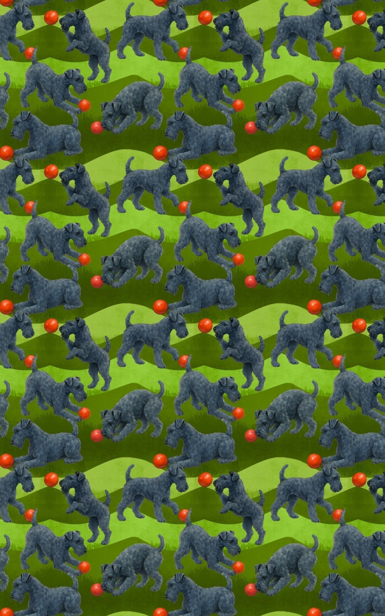 Garden Kerry Blue Terrier