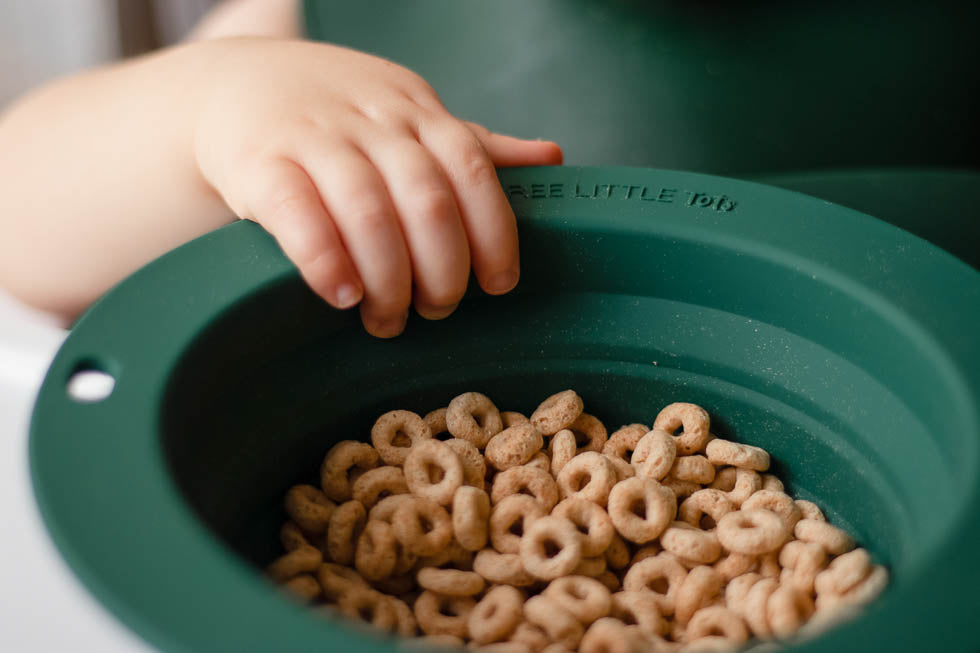 Forest Green Collapsible Bowl For Travel Or Home