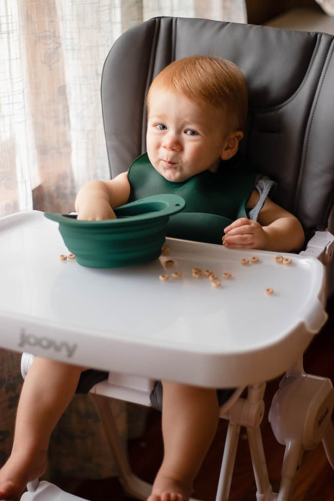 Forest Green Collapsible Bowl For Travel Or Home