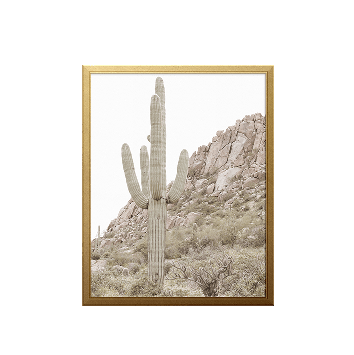 King Cactus Art Print