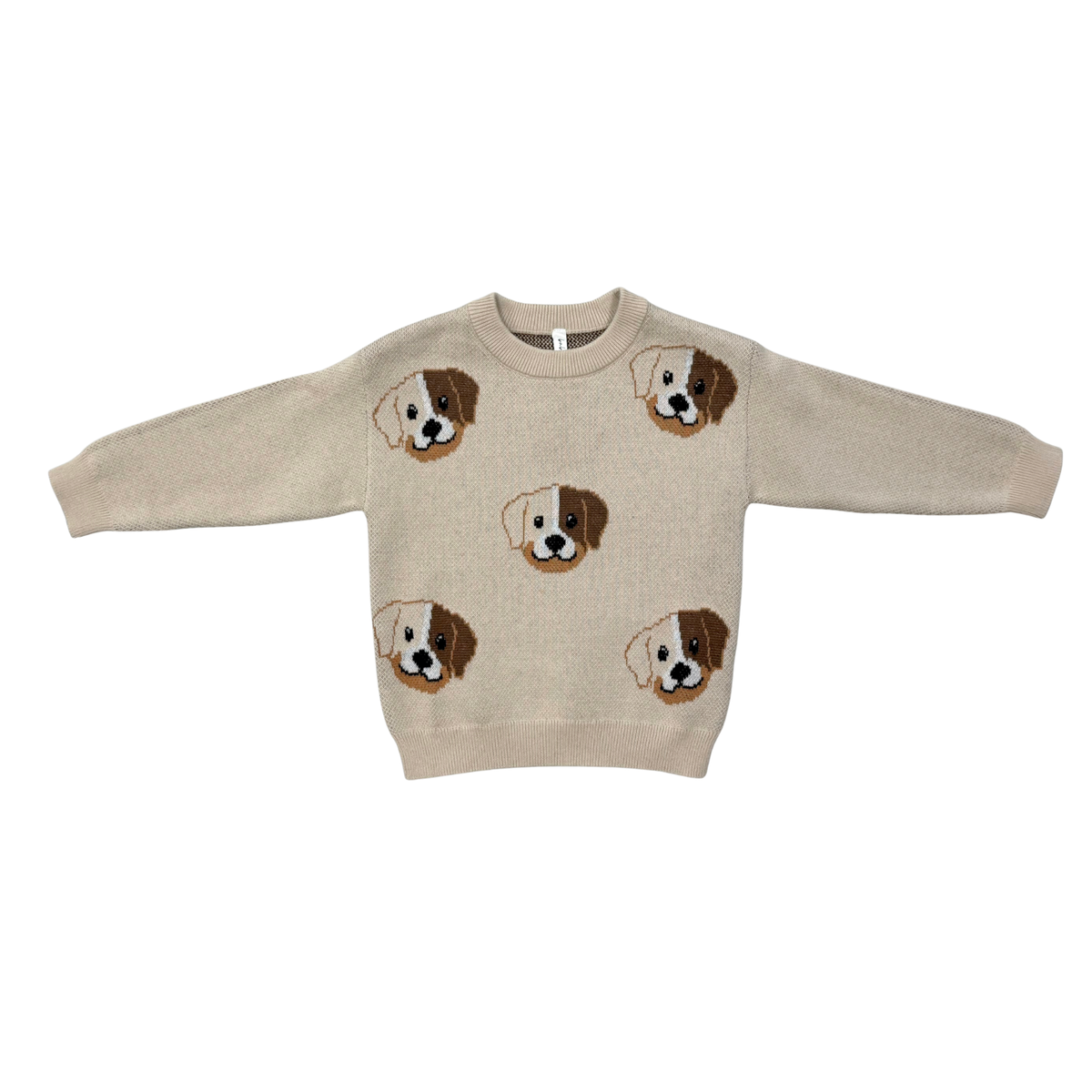 Boys Knit Sweater In Puppies